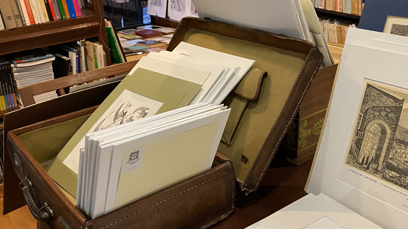 Обои БИБЛИОТЕКА, дизайн, полка, комната, этажерка в разрешении 1366x768