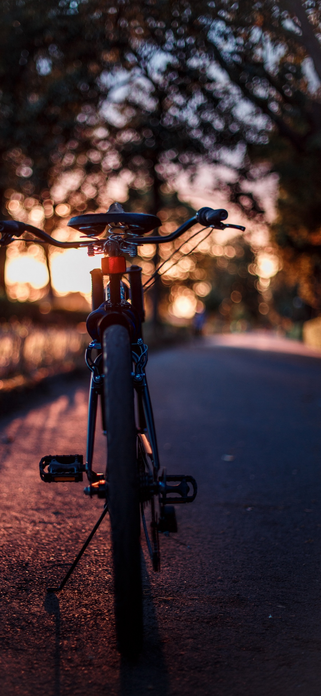 Обои дорожный велосипед, горный велосипед, Велоспорт, Фэт-байк, велосипед с фиксированной передачей в разрешении 1125x2436