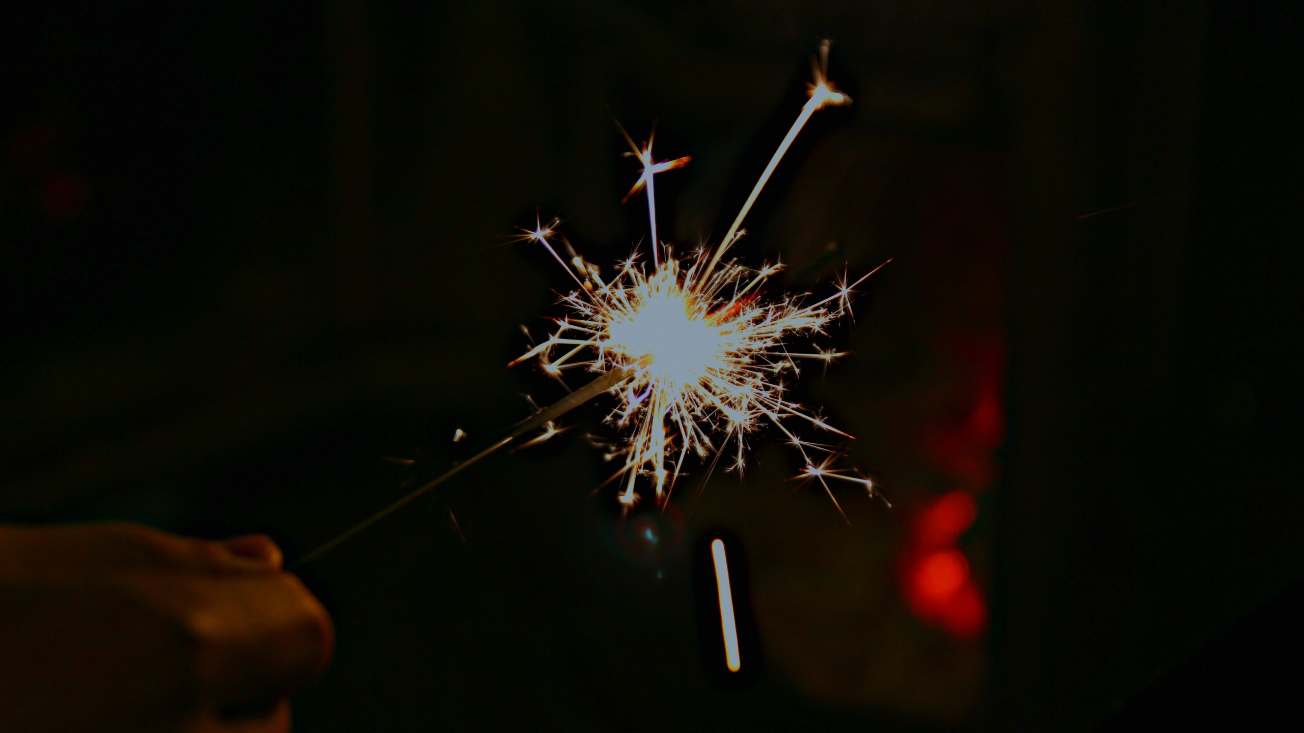 Обои бенгальский огонь, салют, Искра, темнота, поставкы партии в разрешении 2560x1440