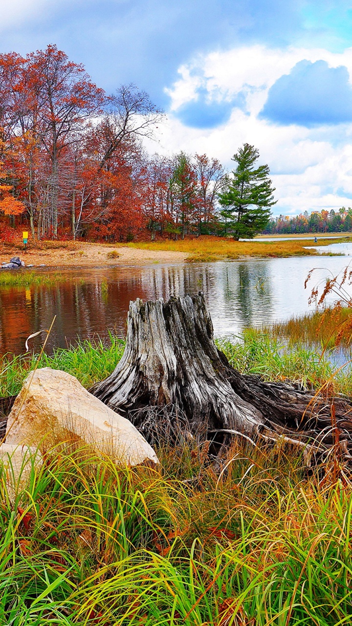 Обои USB-С, Мини-DisplayPort, природа, отражение, дикая местность в разрешении 720x1280