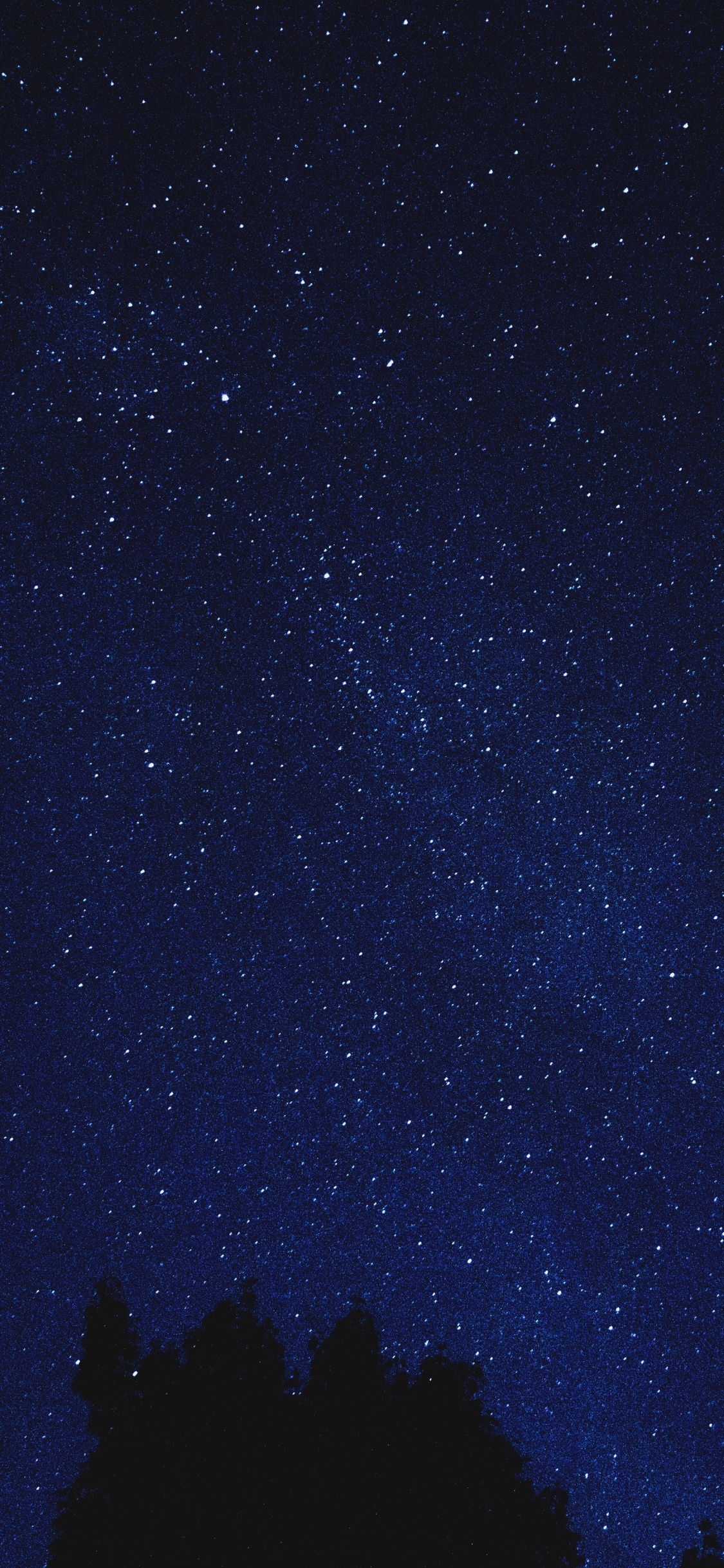 Обои ночное небо, звезда, ночь, синий, черный в разрешении 1125x2436