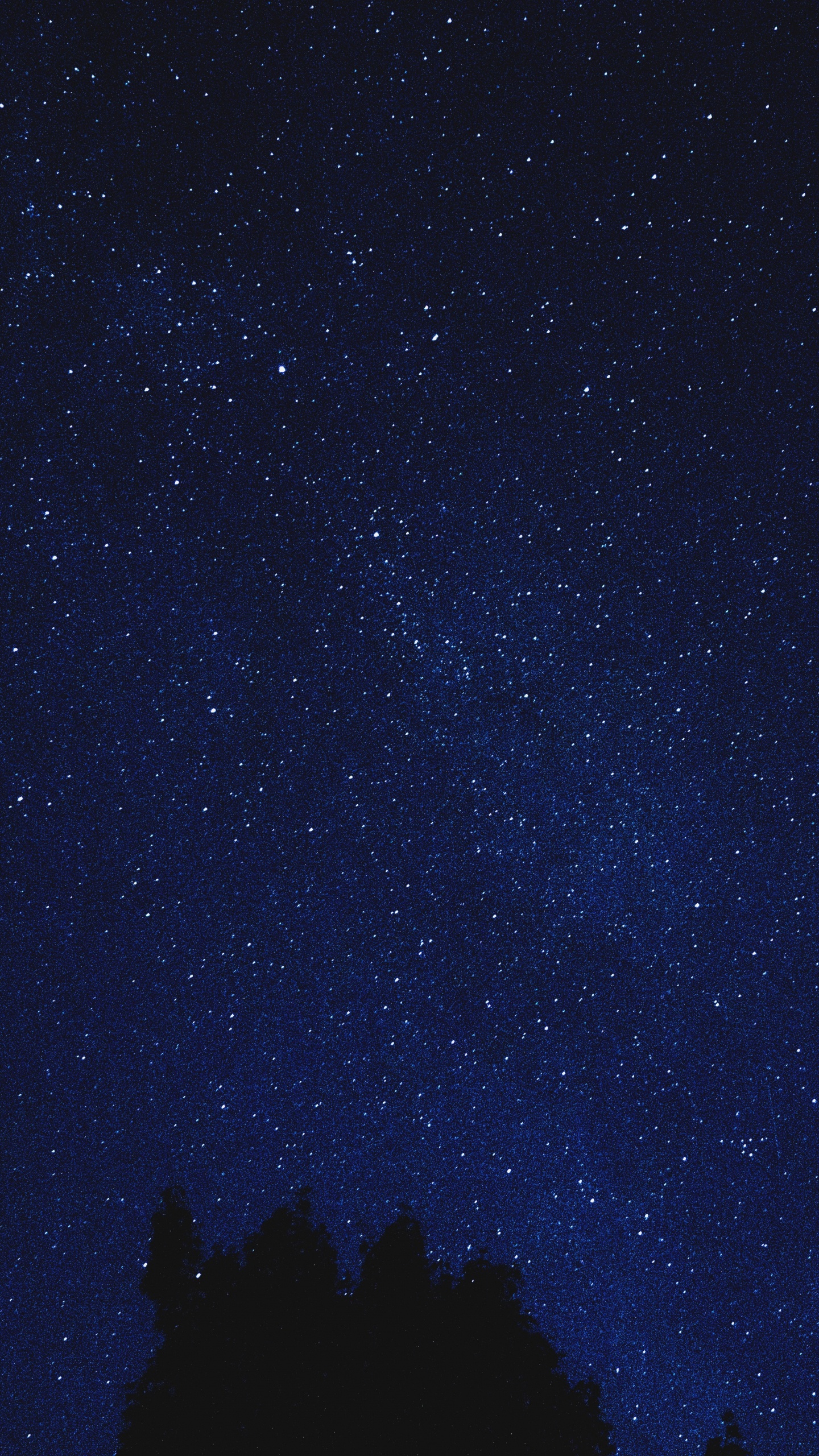 Обои ночное небо, звезда, ночь, синий, черный в разрешении 1440x2560