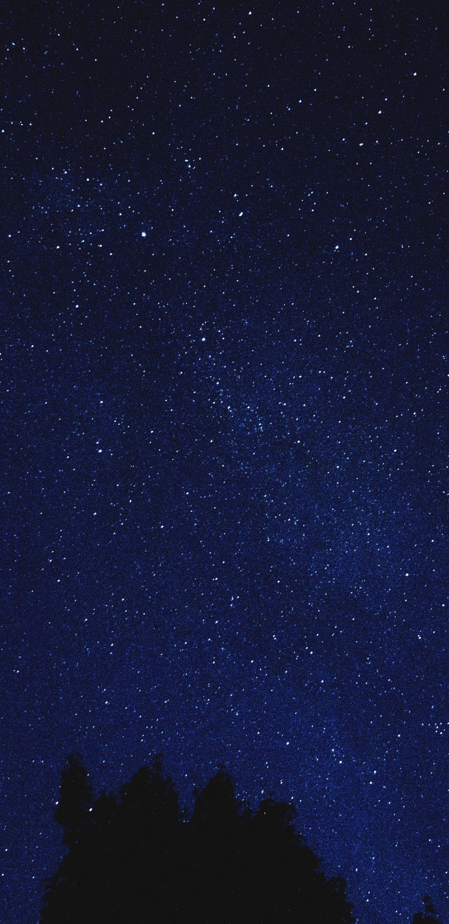 Обои ночное небо, звезда, ночь, синий, черный в разрешении 1440x2960