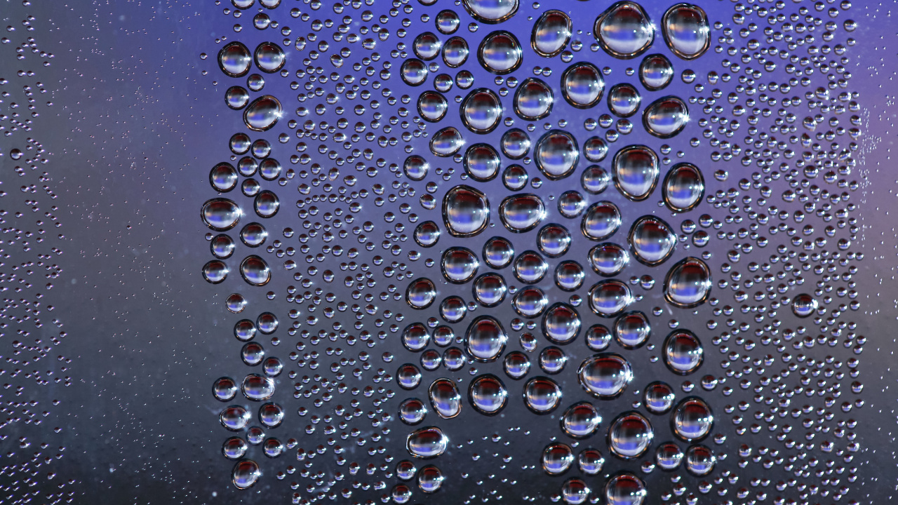 Обои влага, падение, пузырь, отражение, роса в разрешении 1280x720