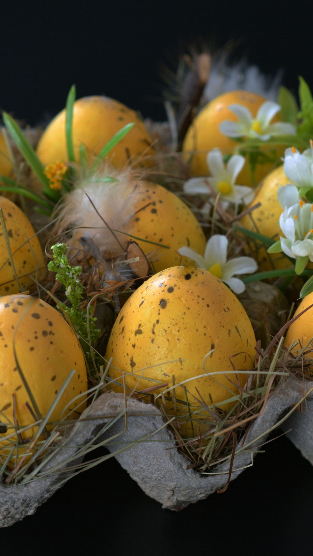 Обои пища, многолетнее растение, пасхальное яйцо, фрукты, яйцо в разрешении 1080x1920