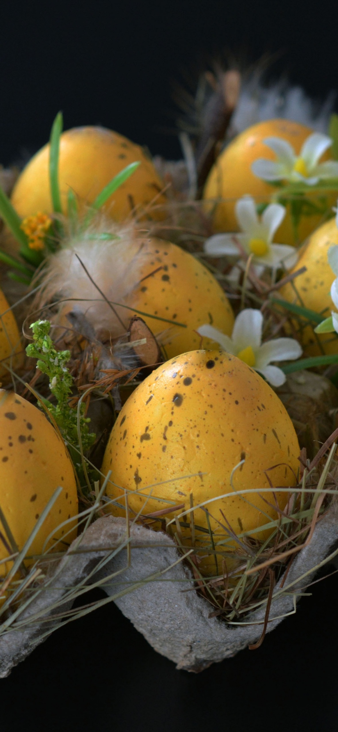 Обои пища, многолетнее растение, пасхальное яйцо, фрукты, яйцо в разрешении 1125x2436