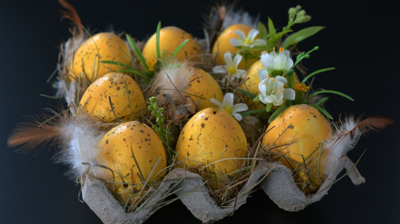 Обои пища, многолетнее растение, пасхальное яйцо, фрукты, яйцо в разрешении 1366x768