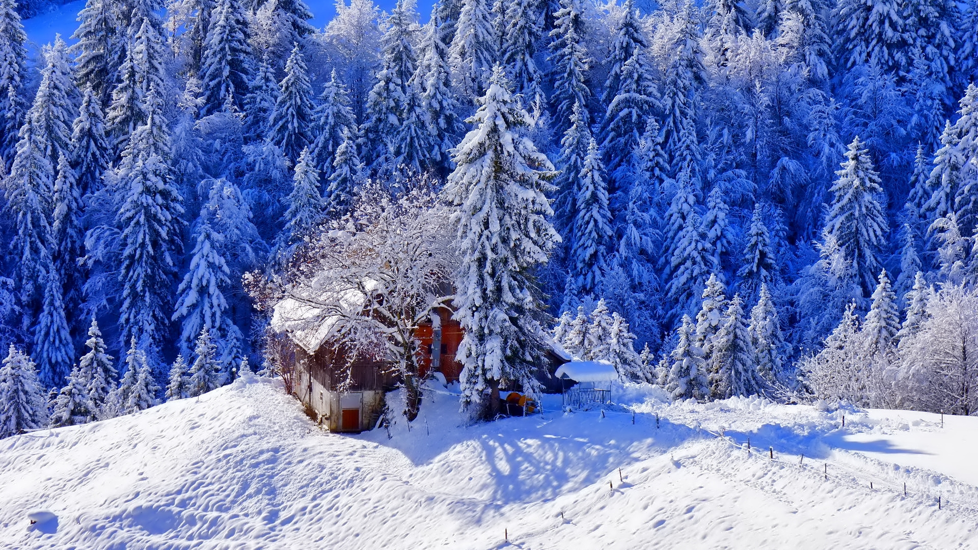 Обои снег, холм, горы, деревья в разрешении 1920x1080