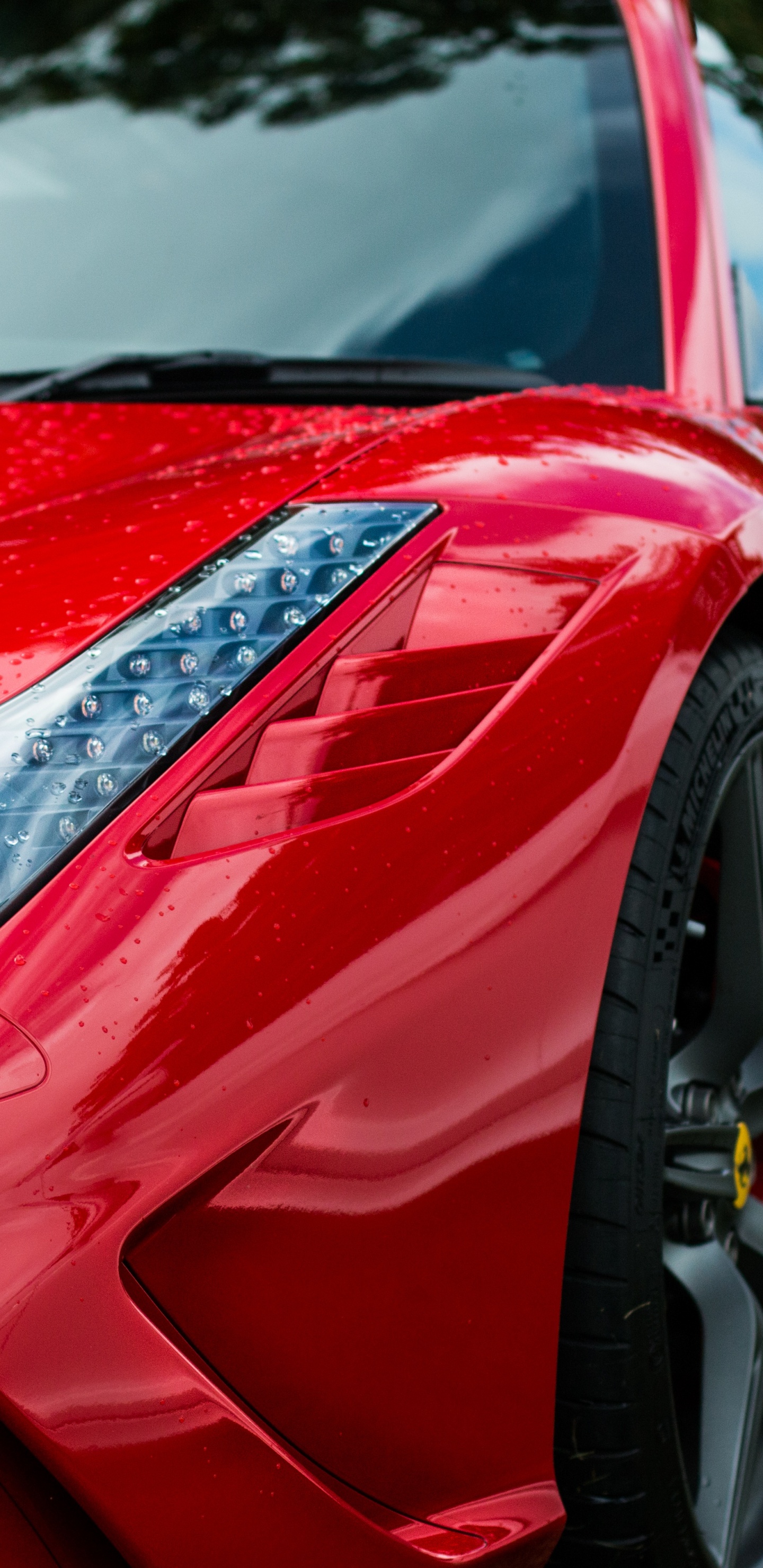 Обои спорткар, Феррари 458 специале, laferrari, авто, Ferrari в разрешении 1440x2960