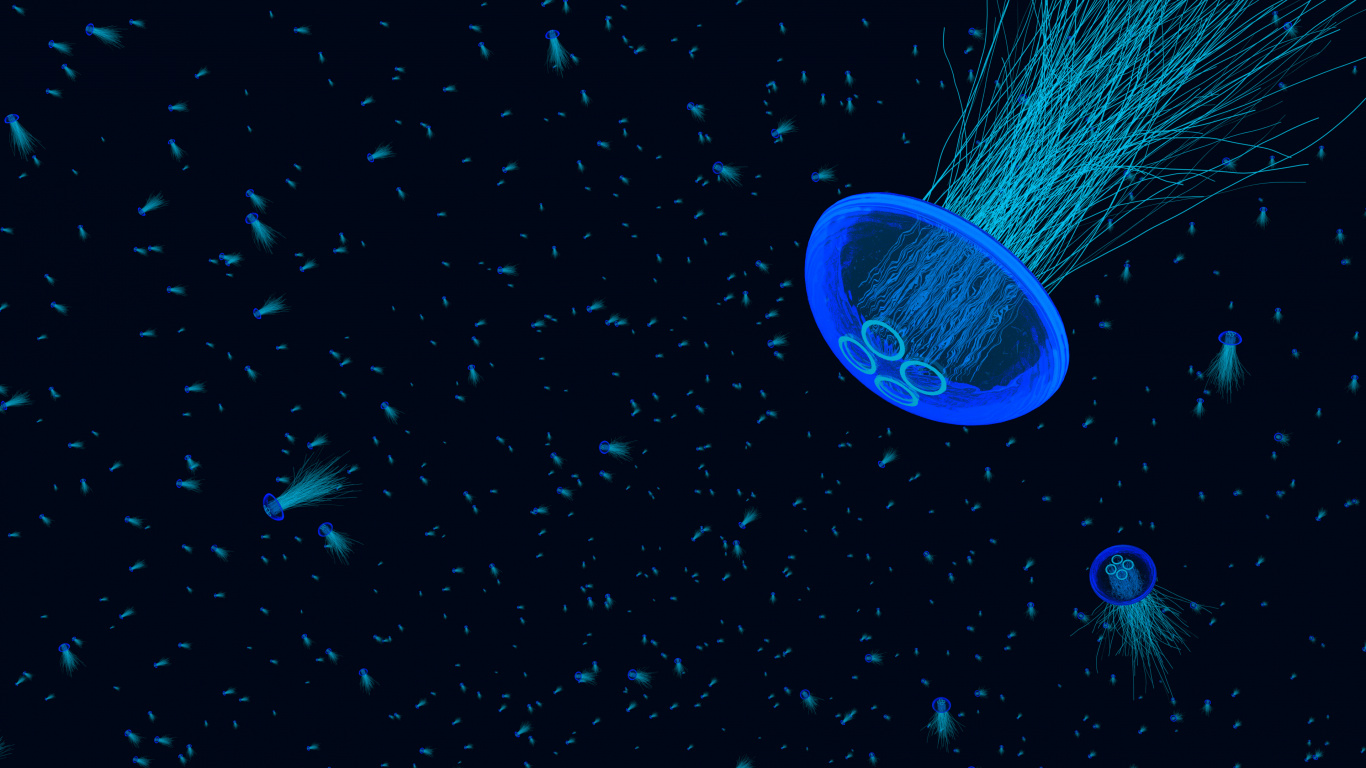 Обои синий, биолюминесценция, морская биология, электрик, космос в разрешении 1366x768