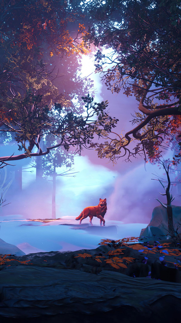 Обои природа, атмосфера, дерево, мир, освещение в разрешении 750x1334