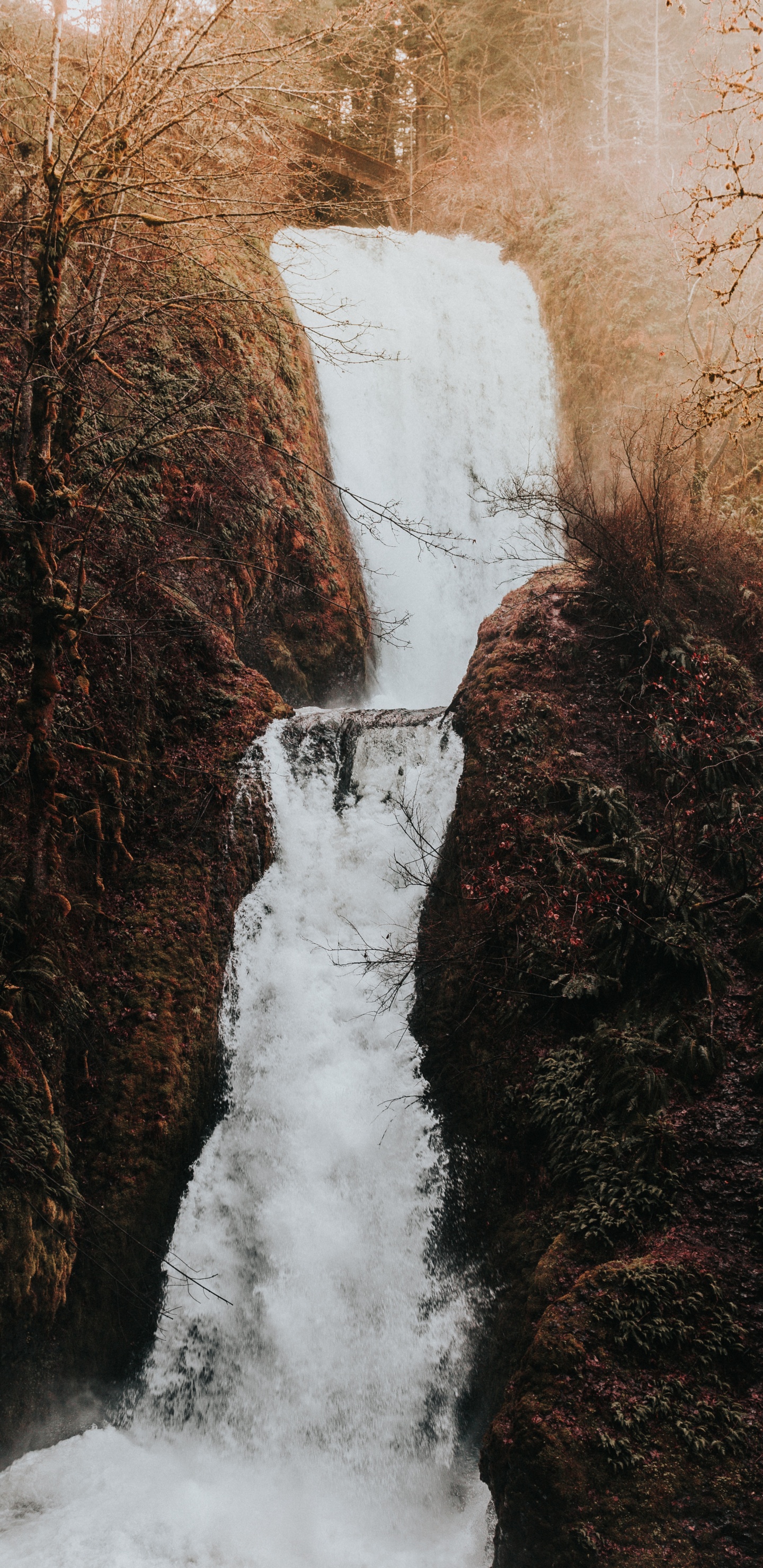 Обои водопад, водоем, вода, гидроресурсы, природа в разрешении 1440x2960