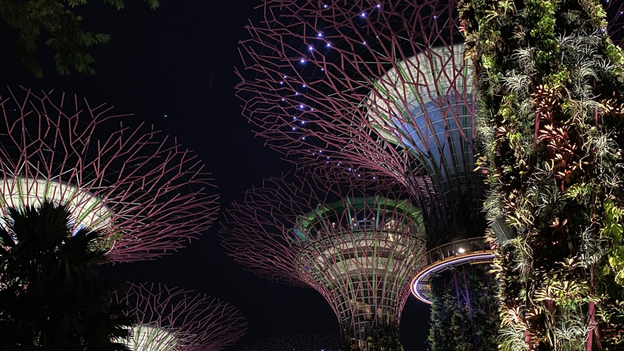 Обои Сингапур, природа, архитектура, ночь, темнота в разрешении 1280x720