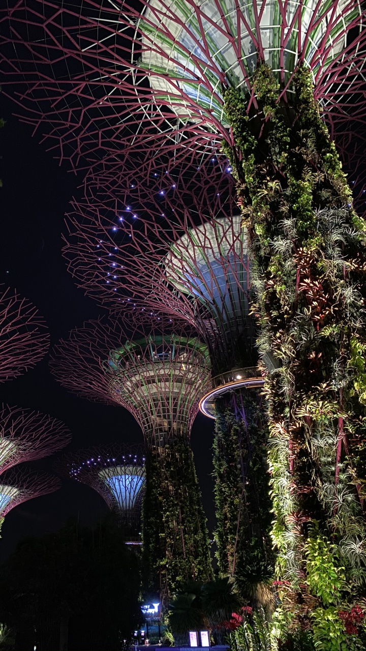 Обои Сингапур, природа, архитектура, ночь, темнота в разрешении 720x1280