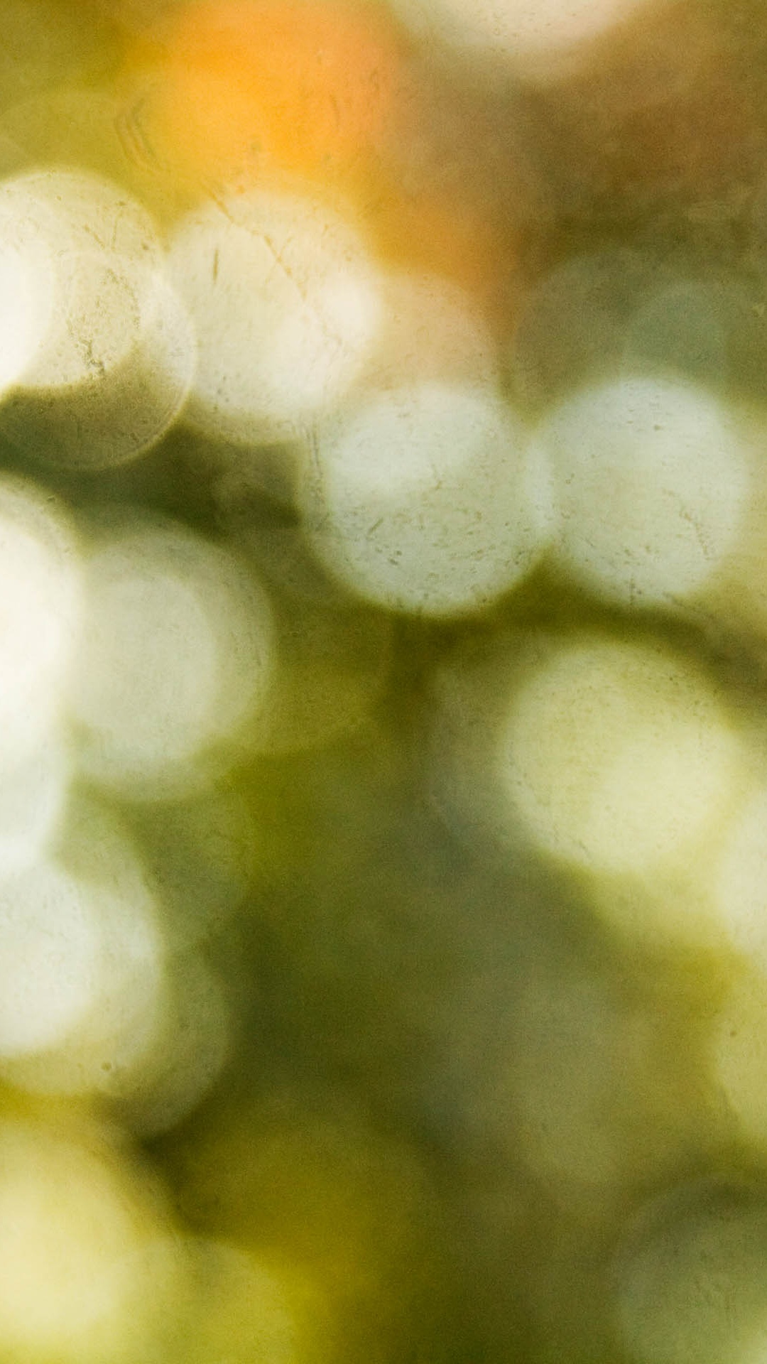 Обои боке, зеленый, желтый, лист, солнечный свет в разрешении 1080x1920