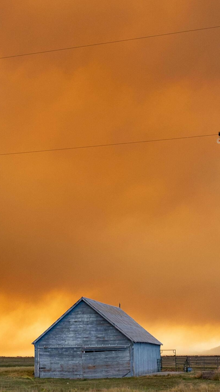 Обои облако, атмосфера, природа, Апельсин, древесина в разрешении 750x1334