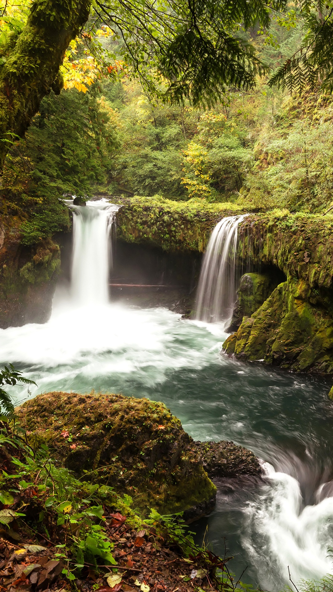 Обои водопад, водоем, гидроресурсы, природа, вода в разрешении 1080x1920