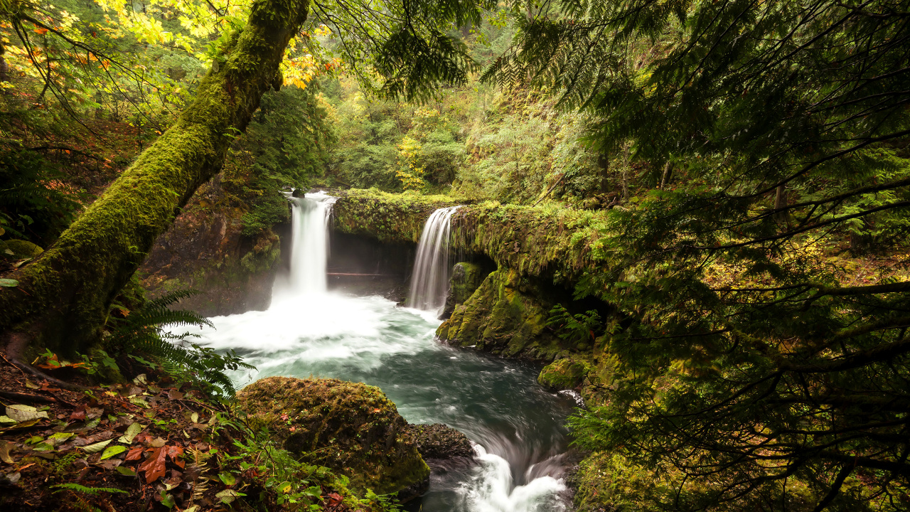 Обои водопад, водоем, гидроресурсы, природа, вода в разрешении 1280x720