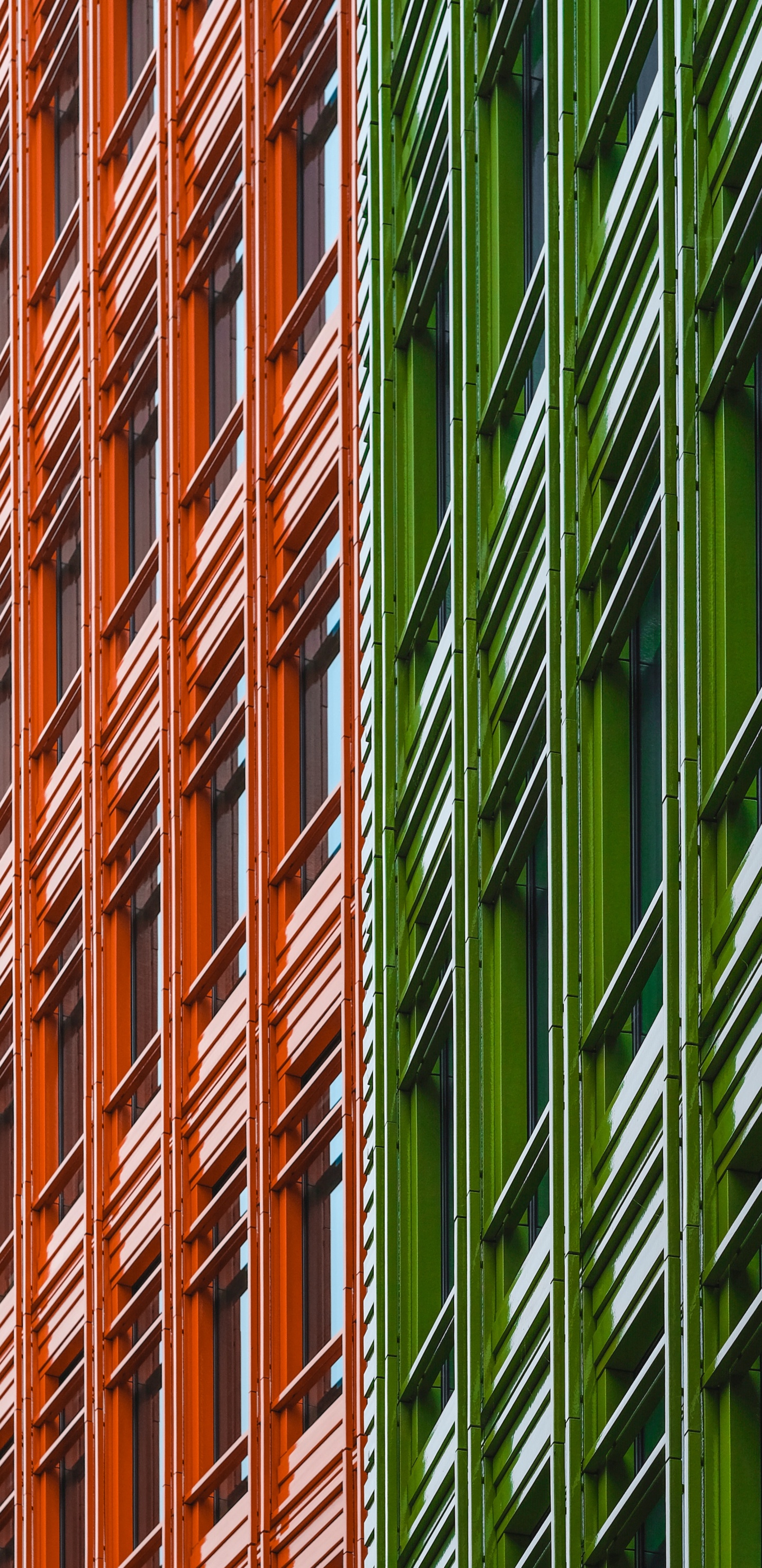 Обои фасад, окно, здание, архитектура, зеленый в разрешении 1440x2960