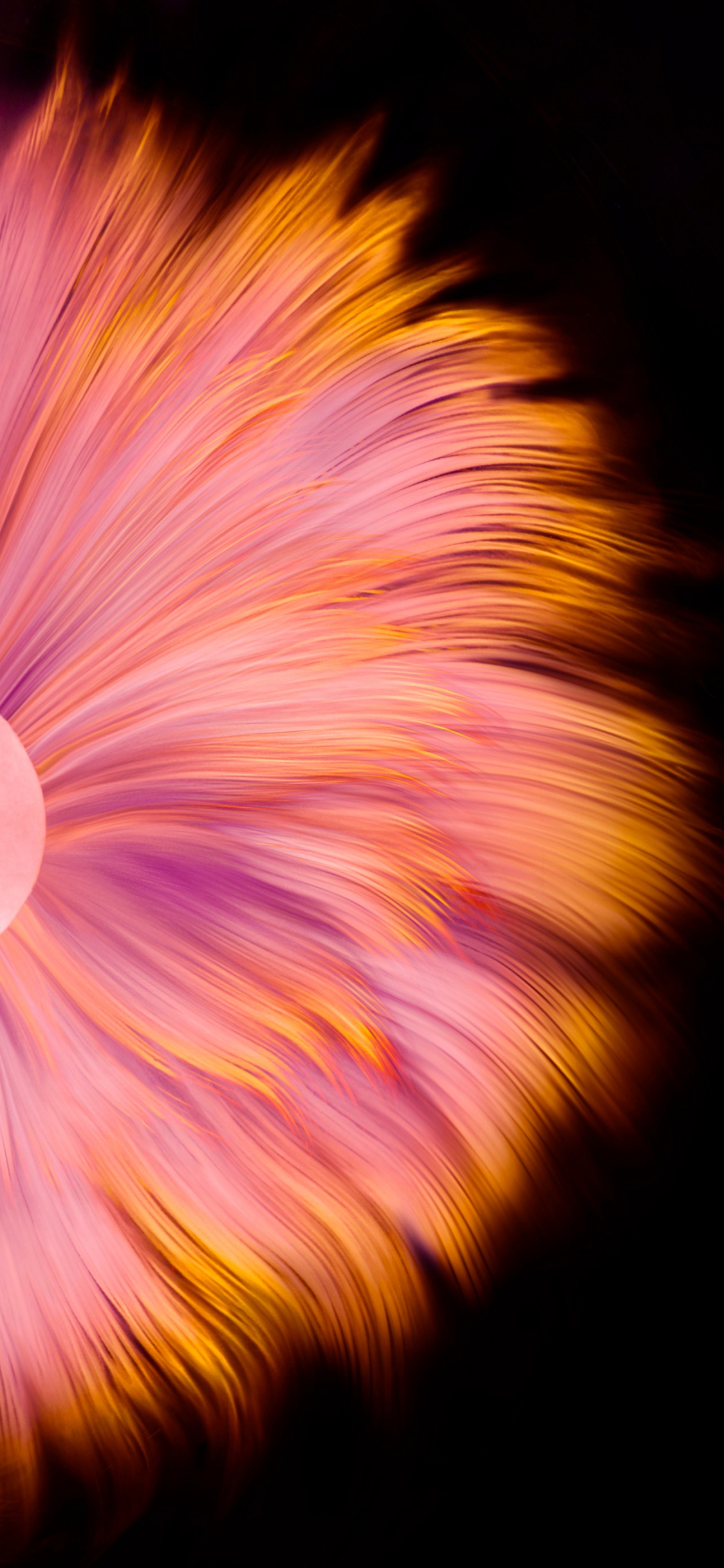 Обои Huawei, Huawei Mate, Huawei Mate 40 Pro, huawei mate 40 pro акции, huawei mate 30 в разрешении 1125x2436