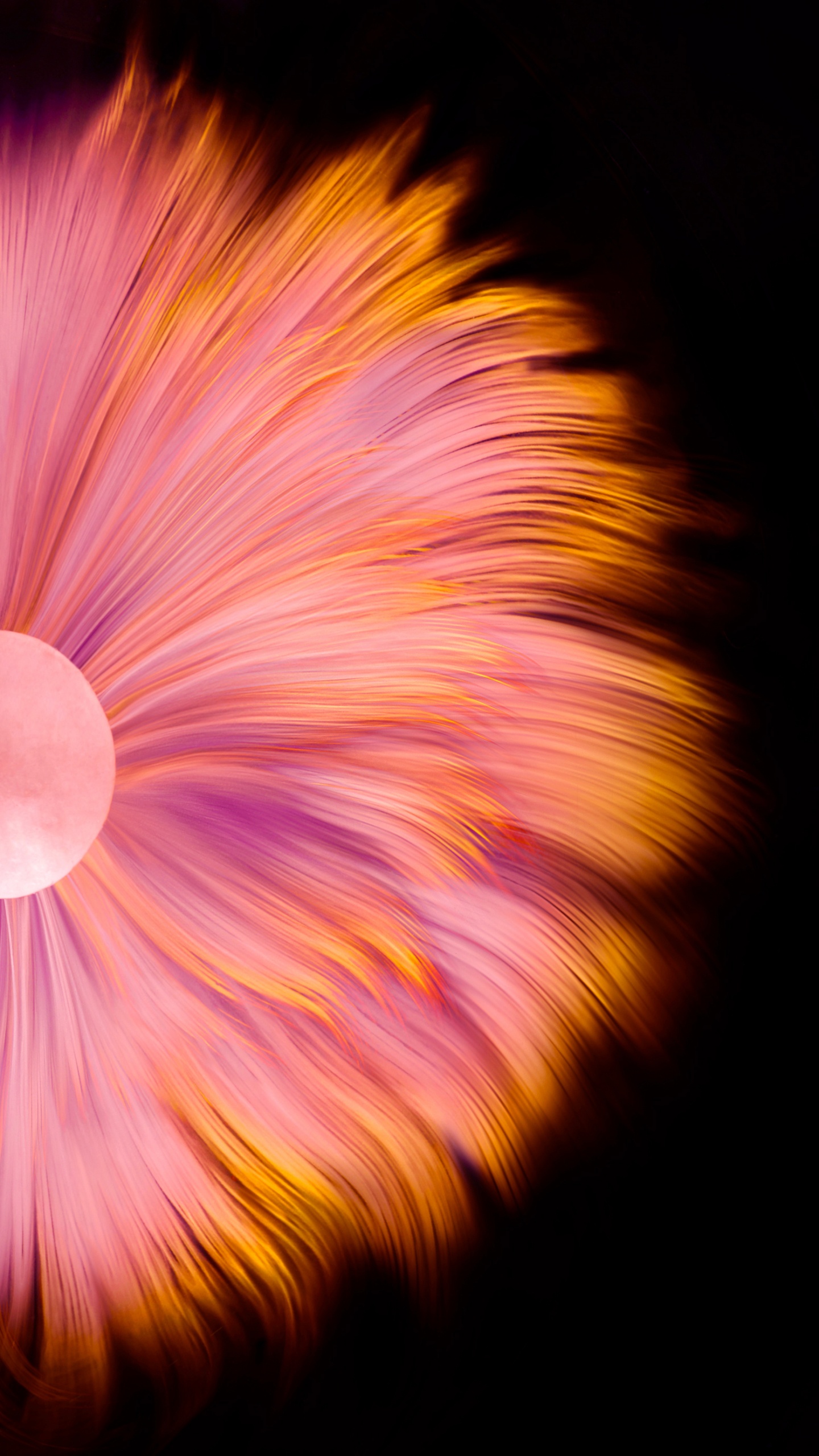 Обои Huawei, Huawei Mate, Huawei Mate 40 Pro, huawei mate 40 pro акции, huawei mate 30 в разрешении 1440x2560