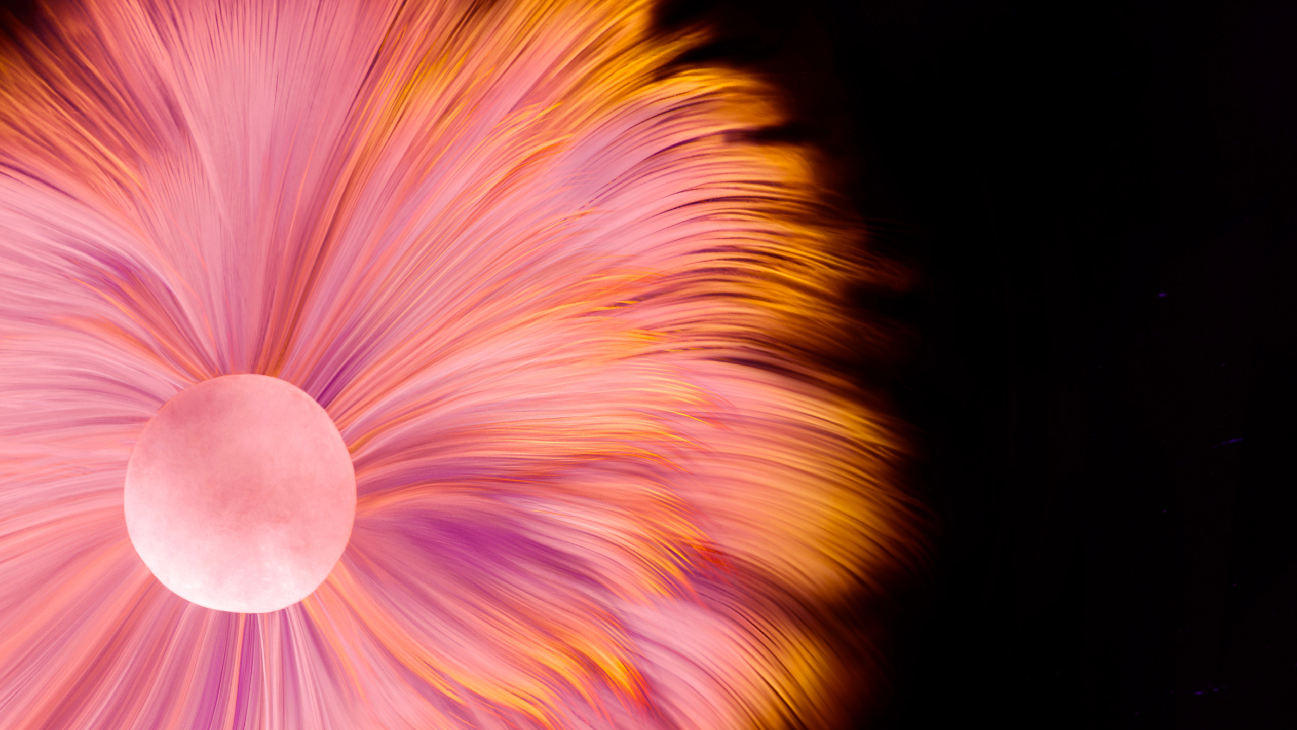 Обои Huawei, Huawei Mate, Huawei Mate 40 Pro, huawei mate 40 pro акции, huawei mate 30 в разрешении 2560x1440