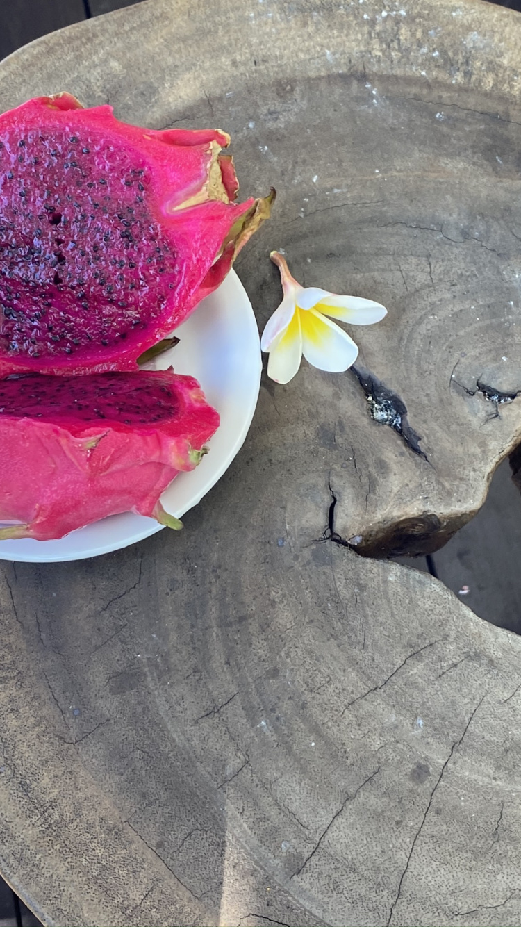 Обои материал, лепесток, цветок, пурпурный цвет, цветковое растение в разрешении 750x1334