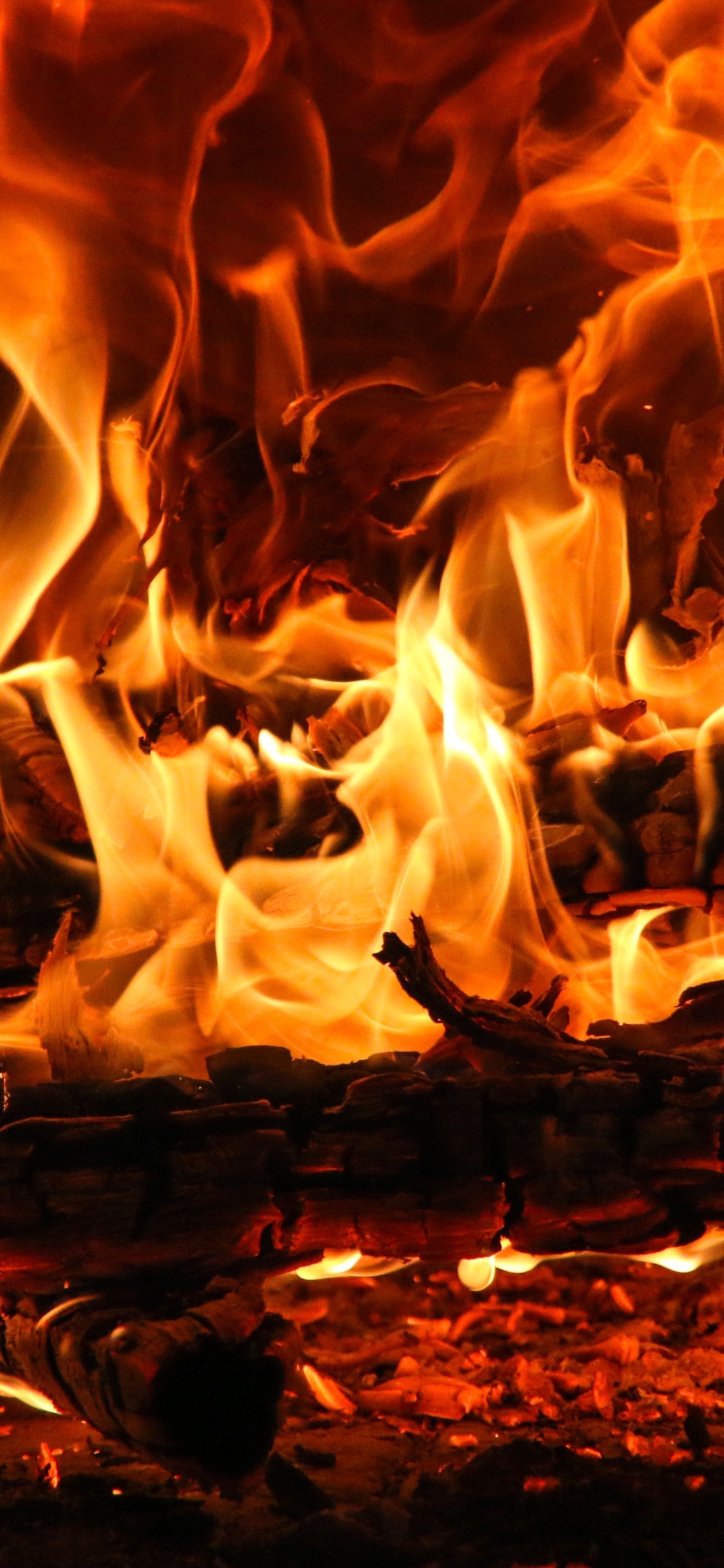 Обои тлеющий уголек, пламя, огонь, тепло, сгорание в разрешении 1125x2436