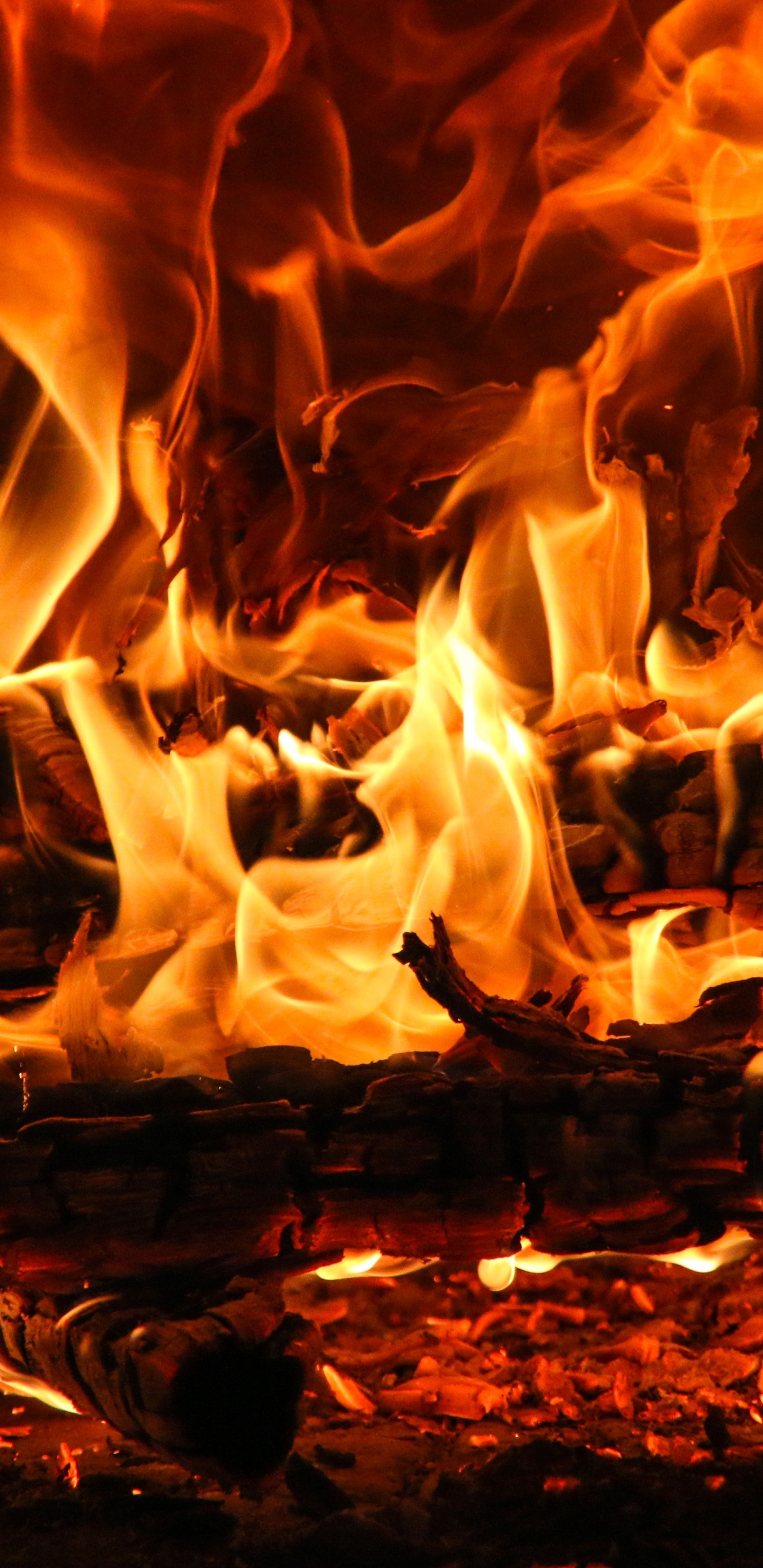 Обои тлеющий уголек, пламя, огонь, тепло, сгорание в разрешении 1440x2960