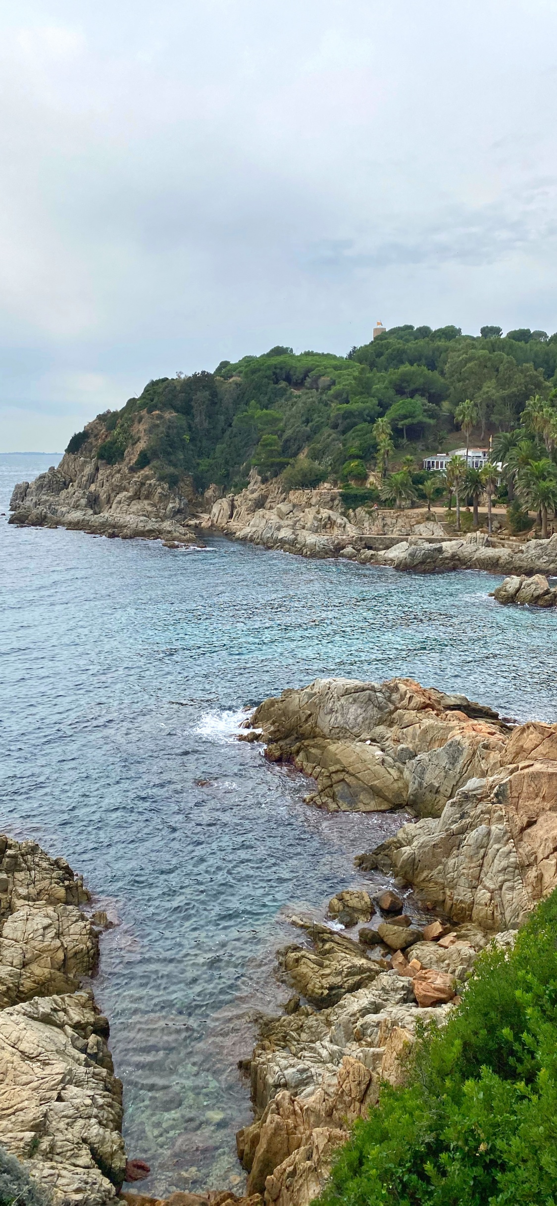 Обои побережье, водоем, растительность, природный ландшафт, вода в разрешении 1125x2436