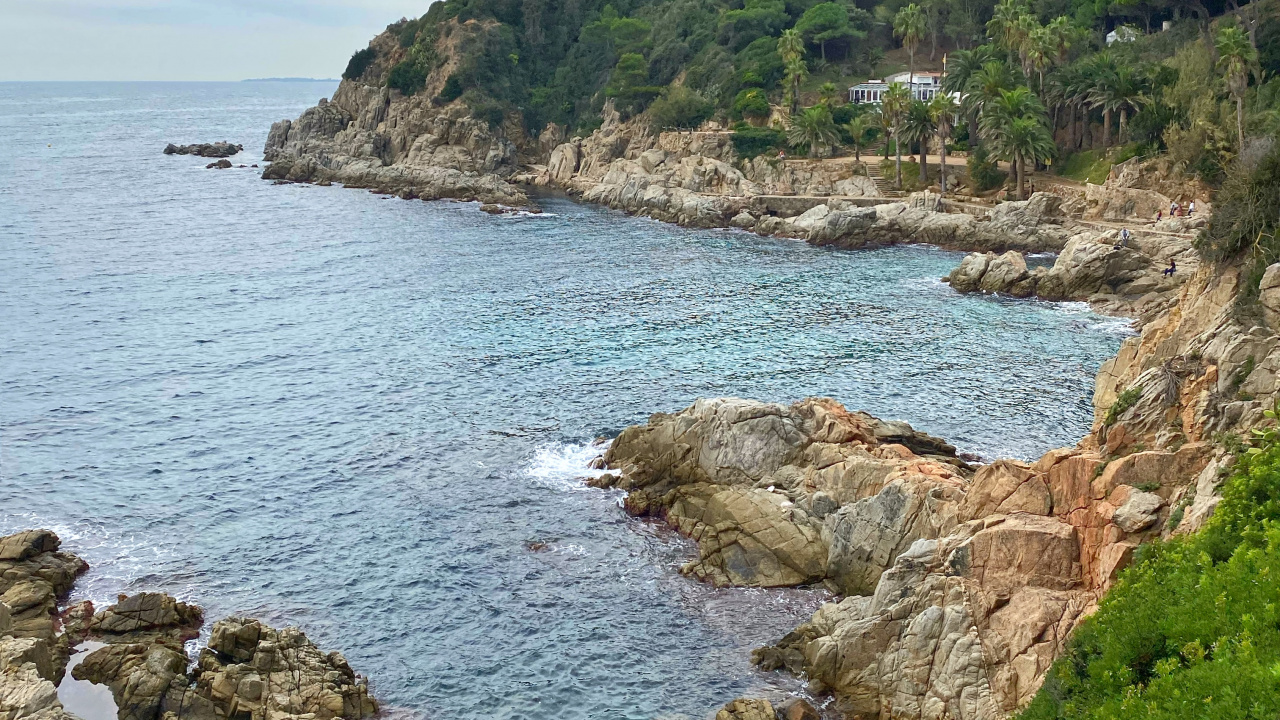 Обои побережье, водоем, растительность, природный ландшафт, вода в разрешении 1280x720