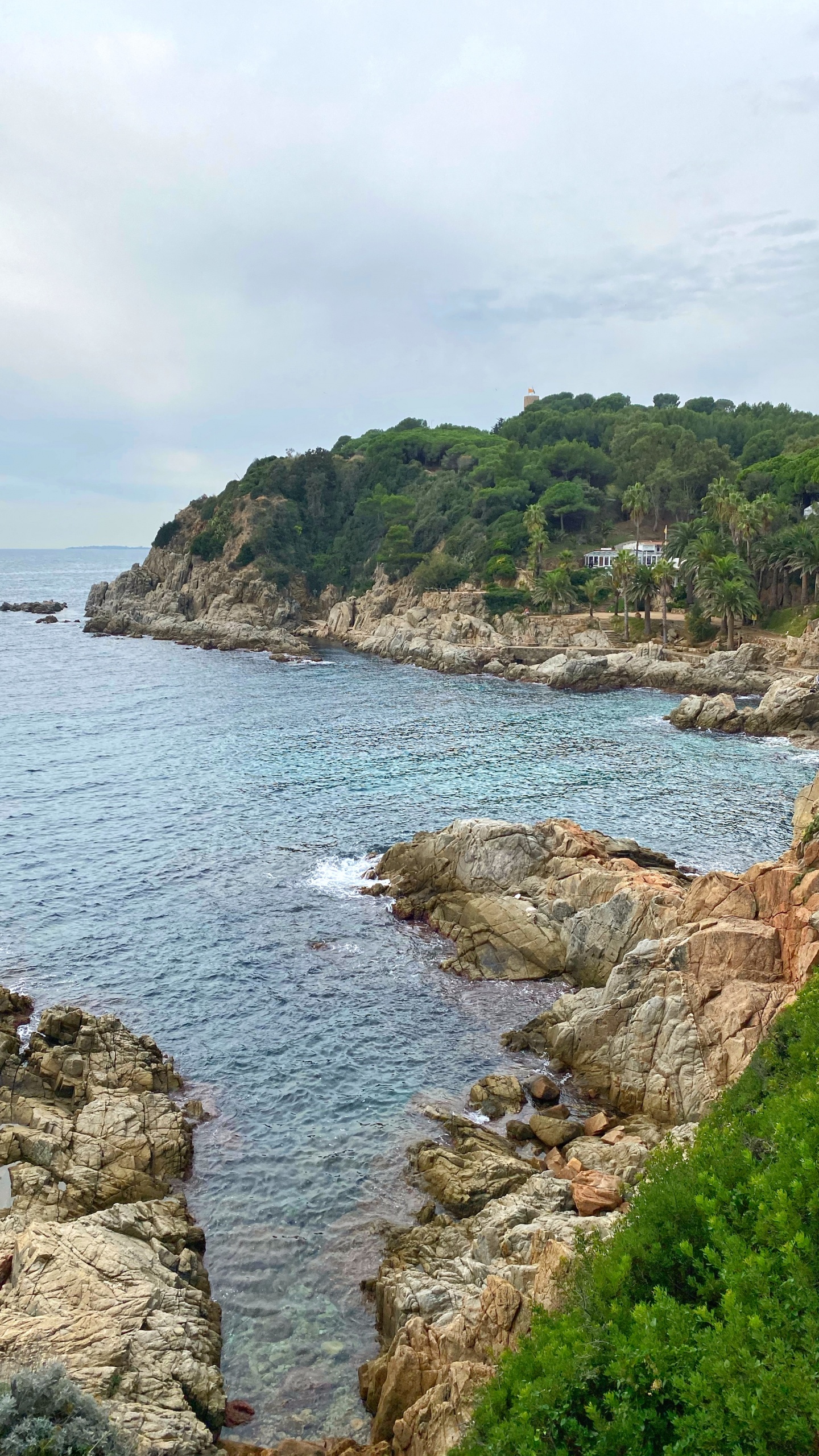 Обои побережье, водоем, растительность, природный ландшафт, вода в разрешении 1440x2560