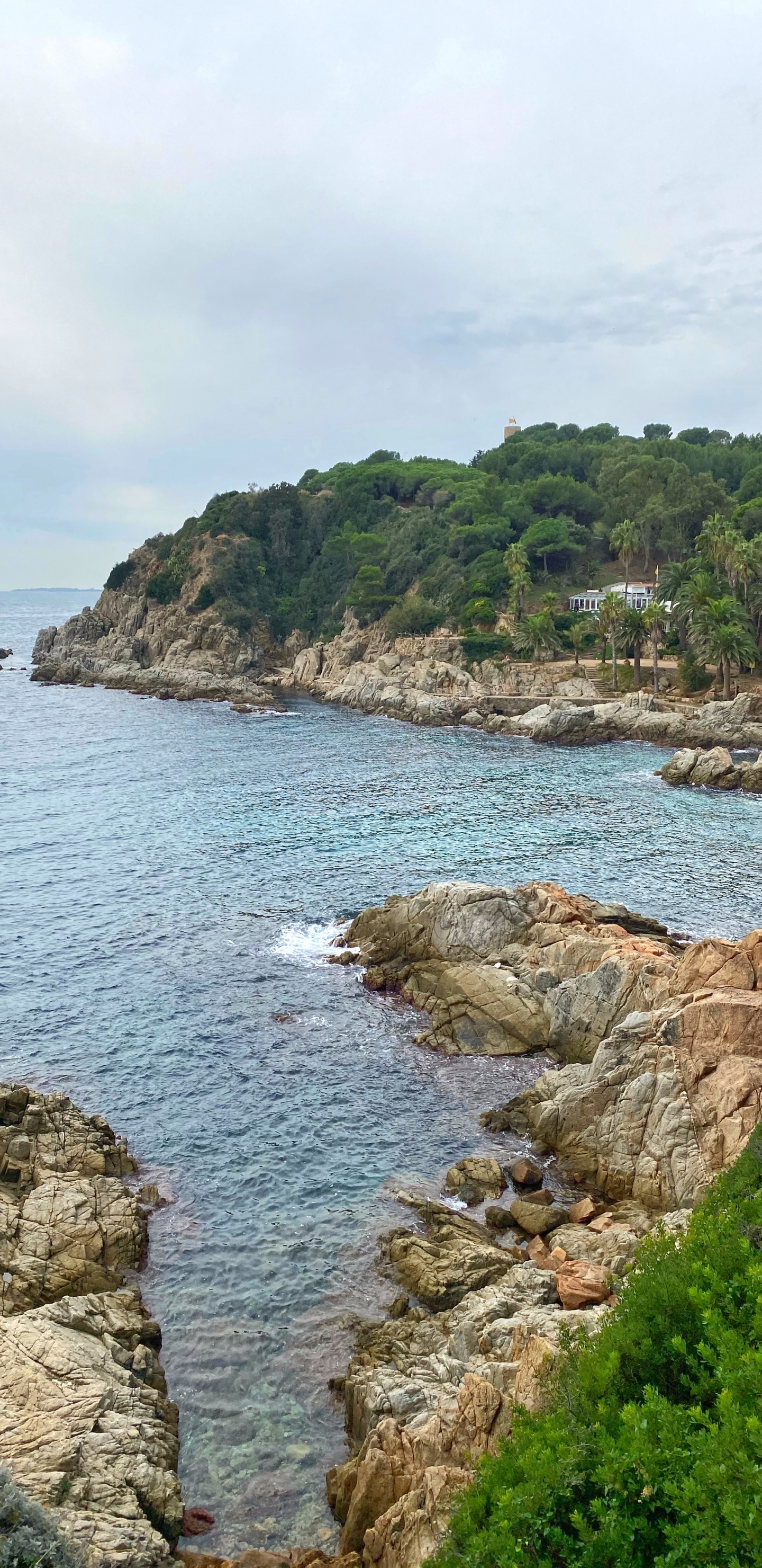 Обои побережье, водоем, растительность, природный ландшафт, вода в разрешении 1440x2960