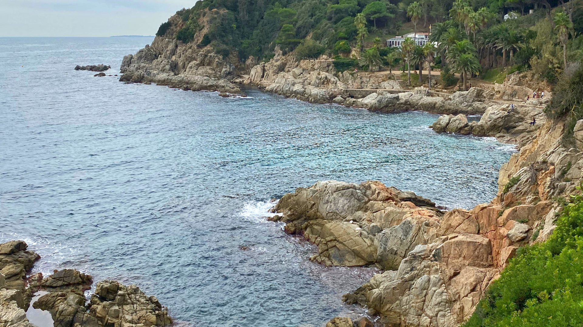 Обои побережье, водоем, растительность, природный ландшафт, вода в разрешении 1920x1080