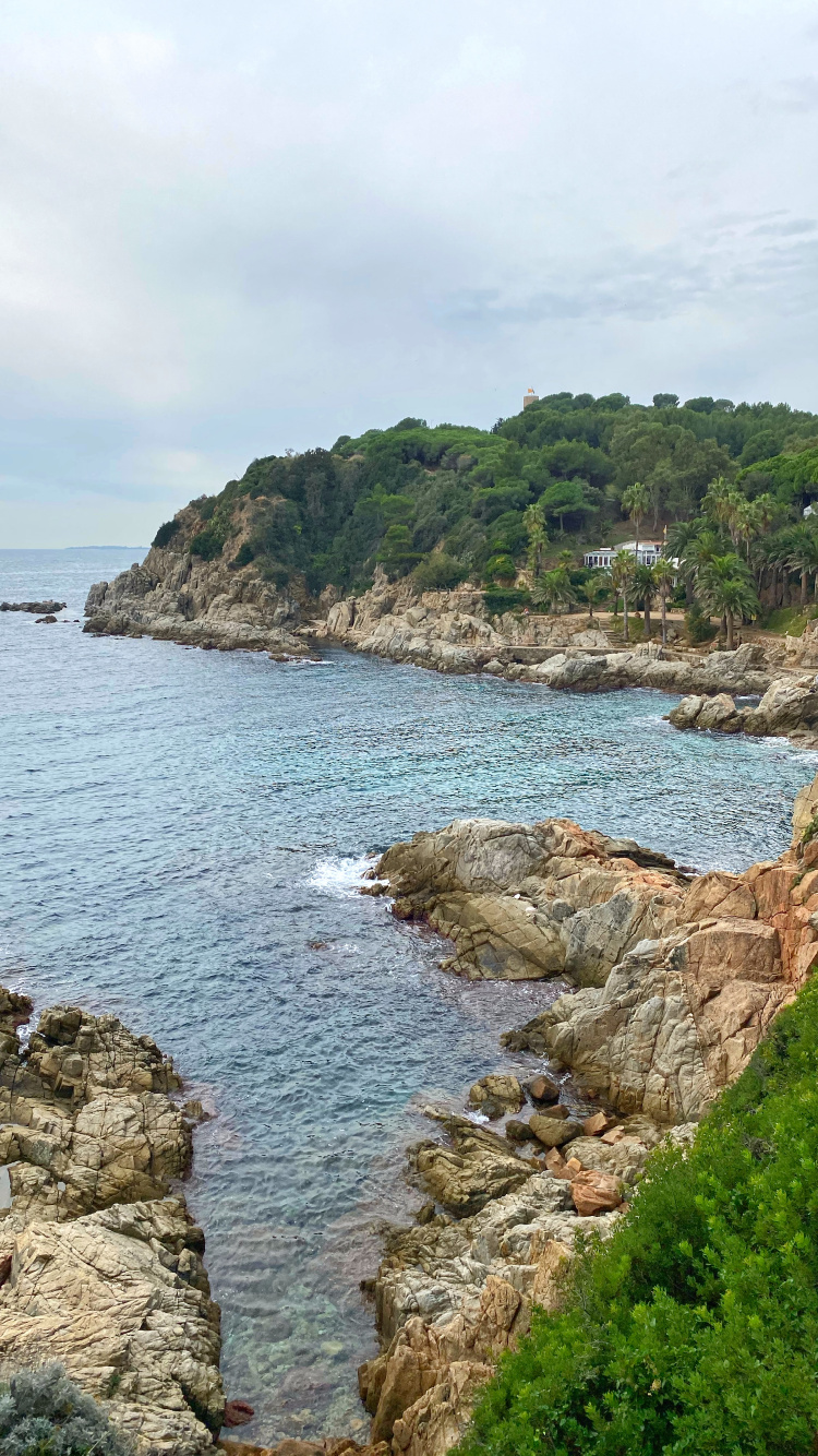 Обои побережье, водоем, растительность, природный ландшафт, вода в разрешении 750x1334