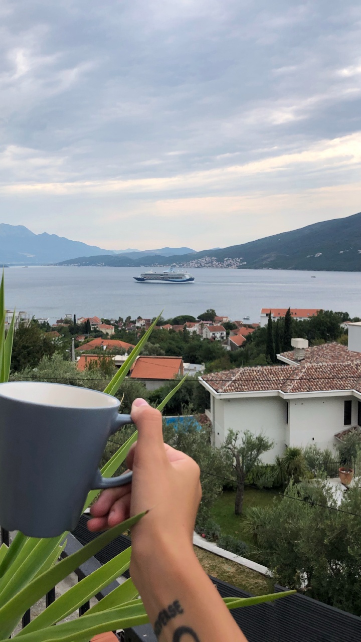 Обои вода, пальмовые рощи, туризм, наука, биология в разрешении 720x1280