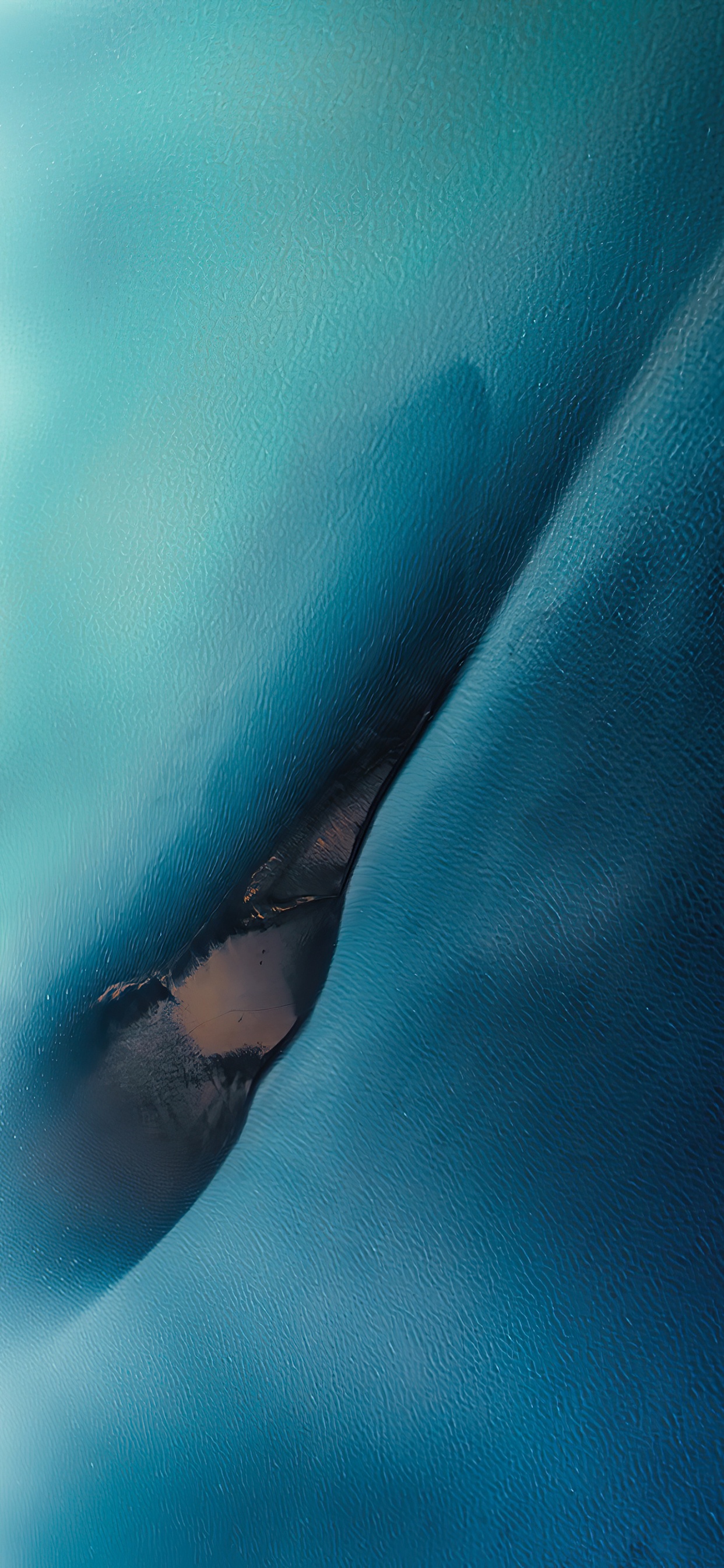 Обои вода, морская биология, растение, солнечные очки, очки защитные в разрешении 1242x2688