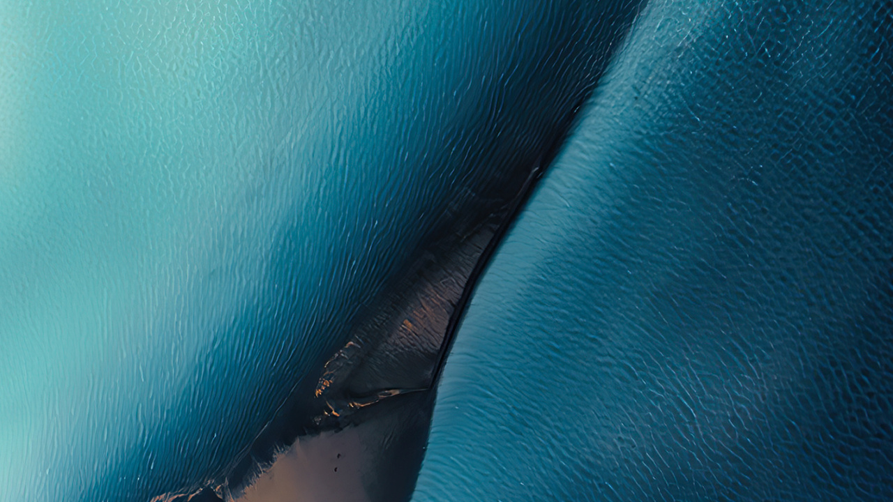 Обои вода, морская биология, растение, солнечные очки, очки защитные в разрешении 1280x720