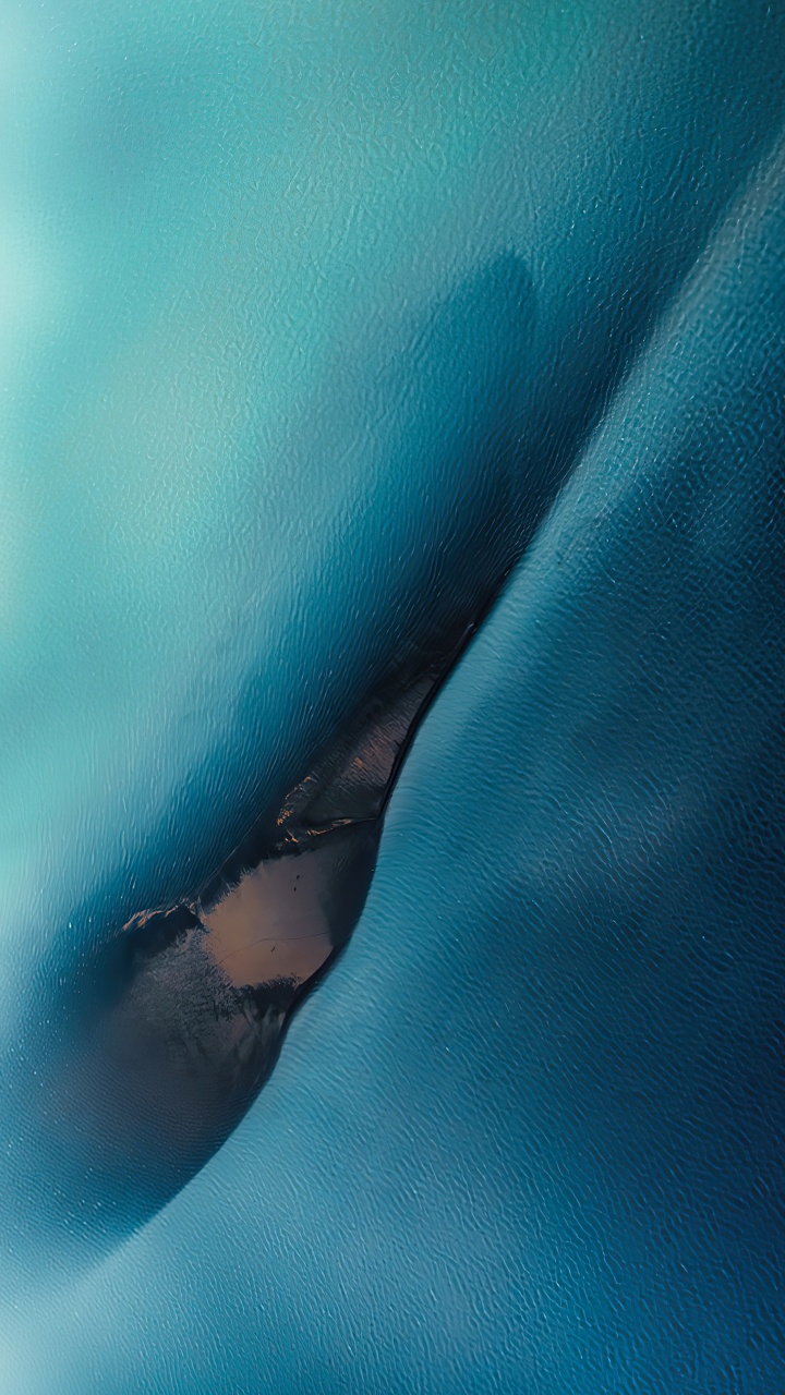 Обои вода, морская биология, растение, солнечные очки, очки защитные в разрешении 720x1280