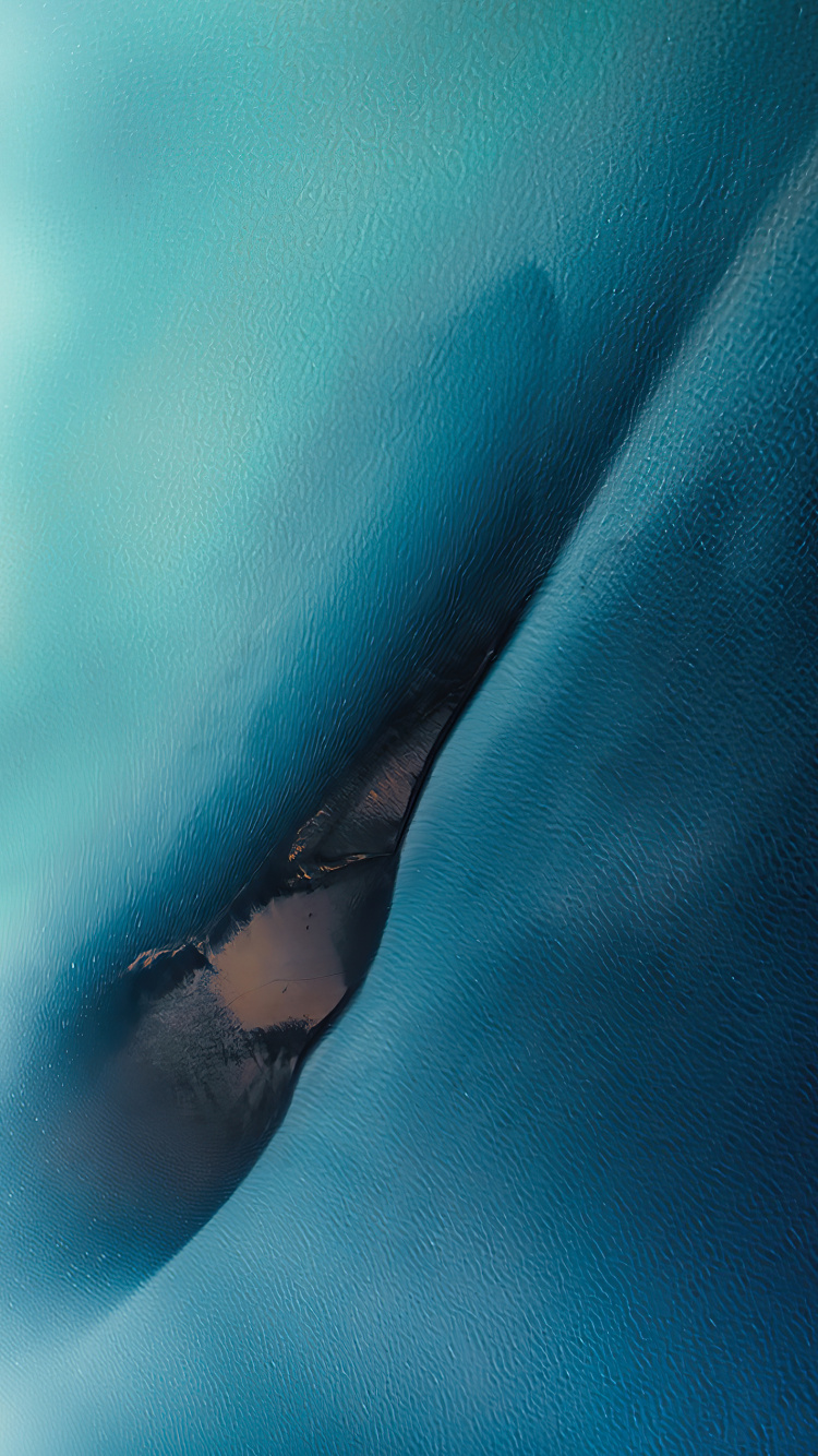 Обои вода, морская биология, растение, солнечные очки, очки защитные в разрешении 750x1334