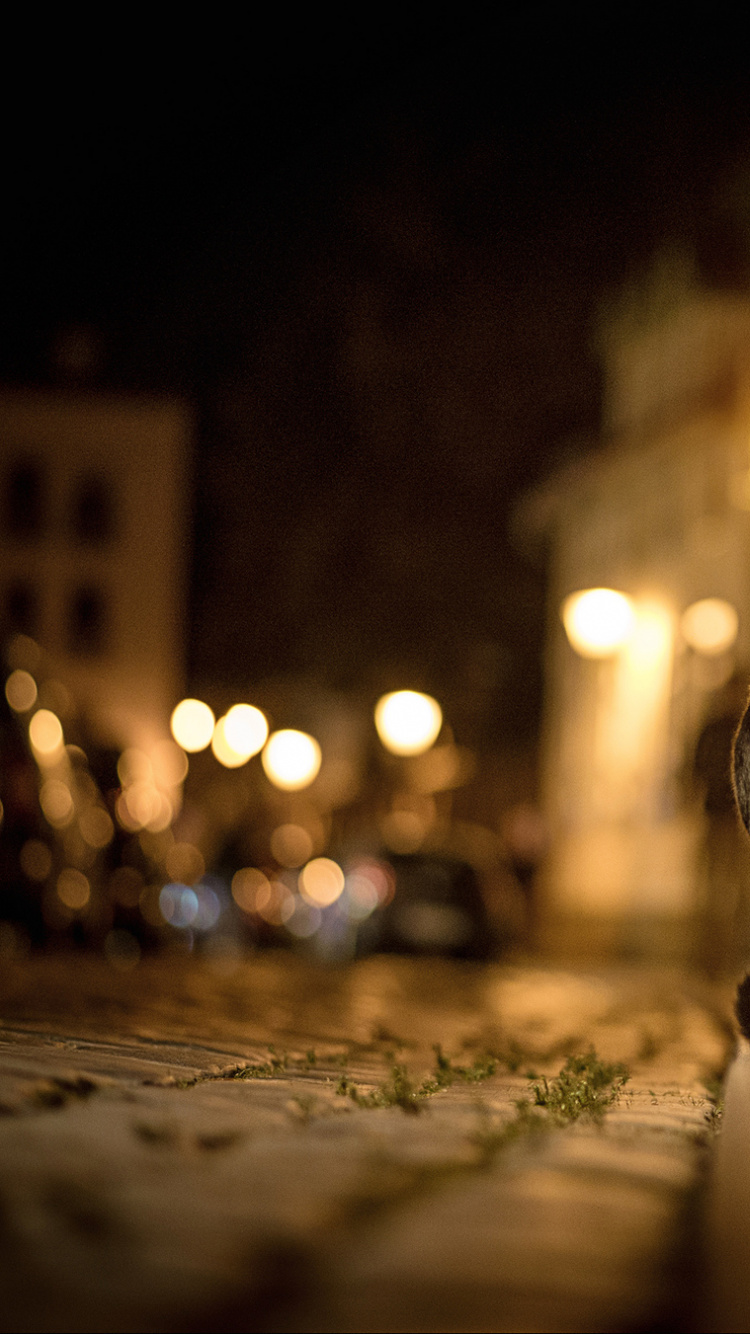 Обои свет, ночь, освещение, темнота, улица в разрешении 750x1334