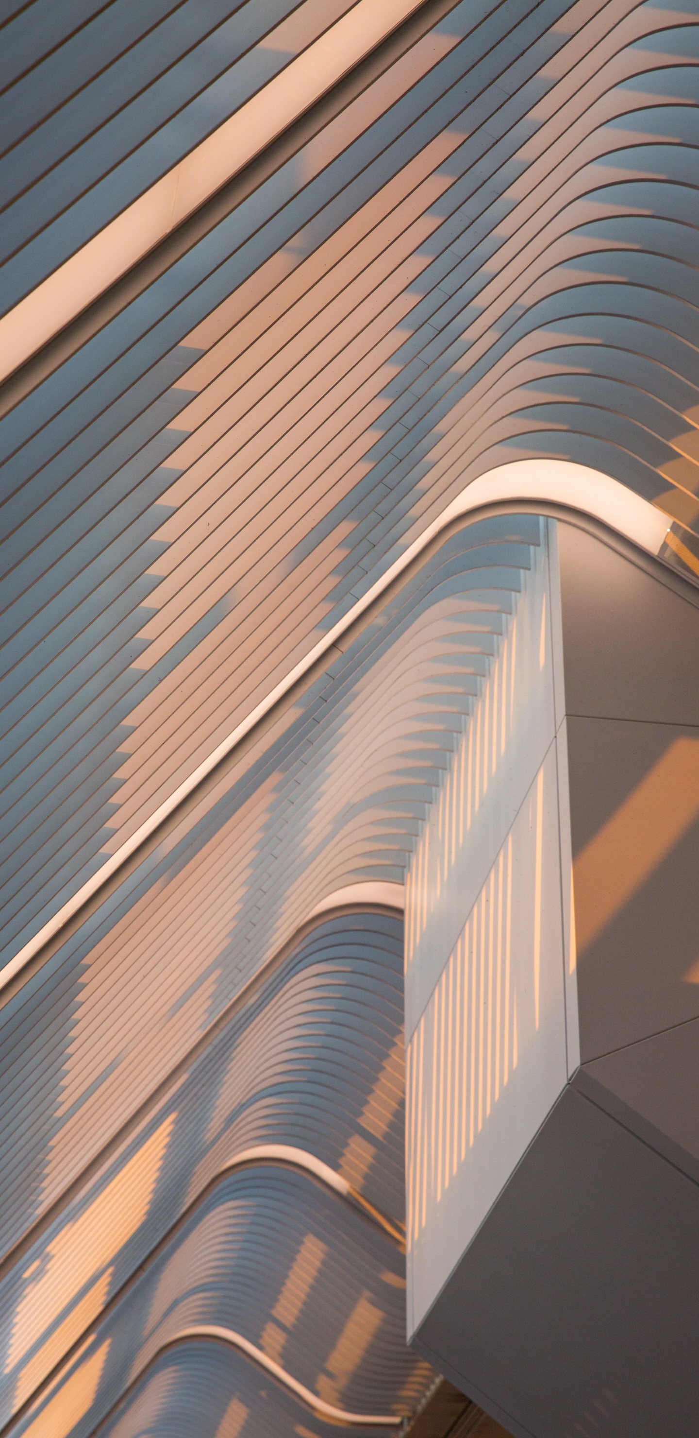 Обои архитектура, фасад, здание, линия, свет в разрешении 1440x2960