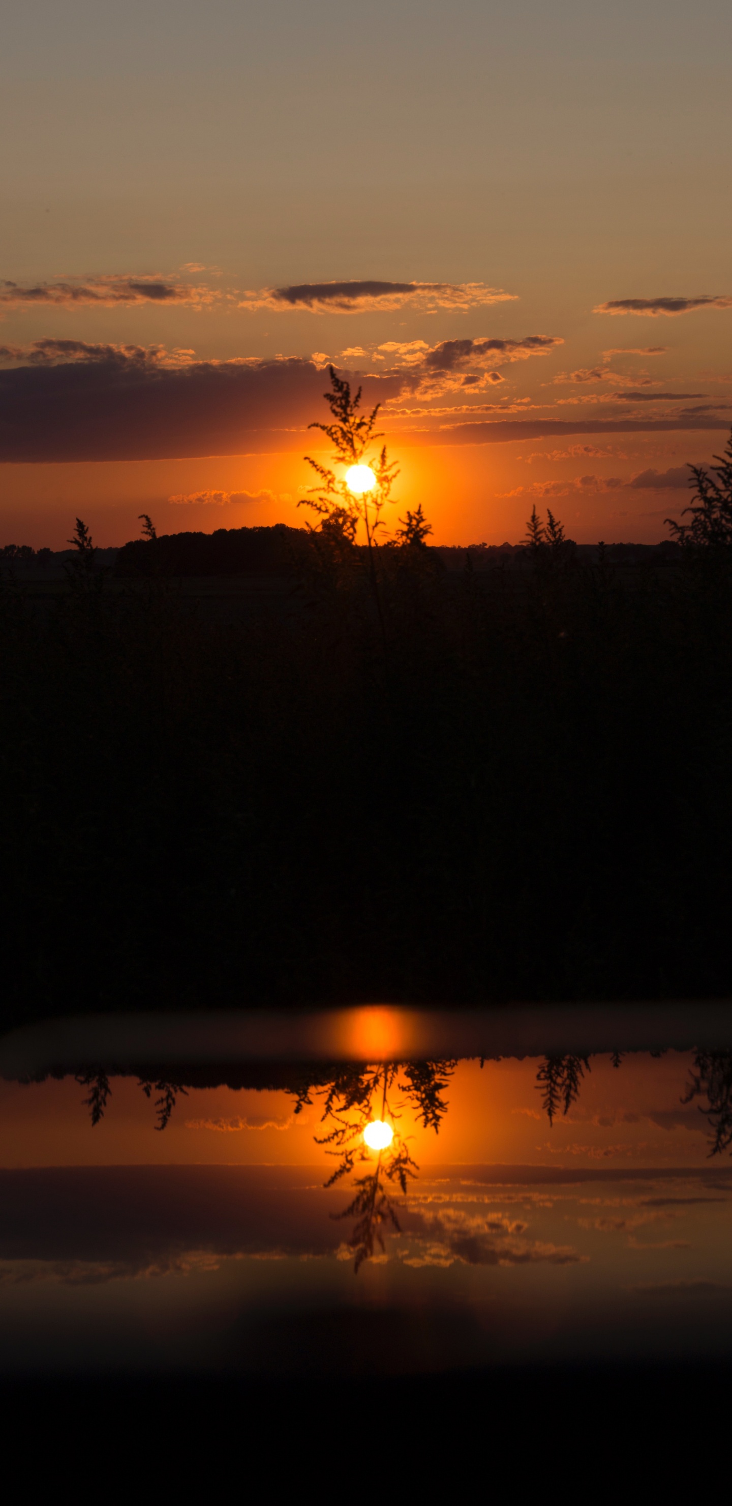 Обои закат, послесвечение, солнце, горизонт, восход солнца в разрешении 1440x2960