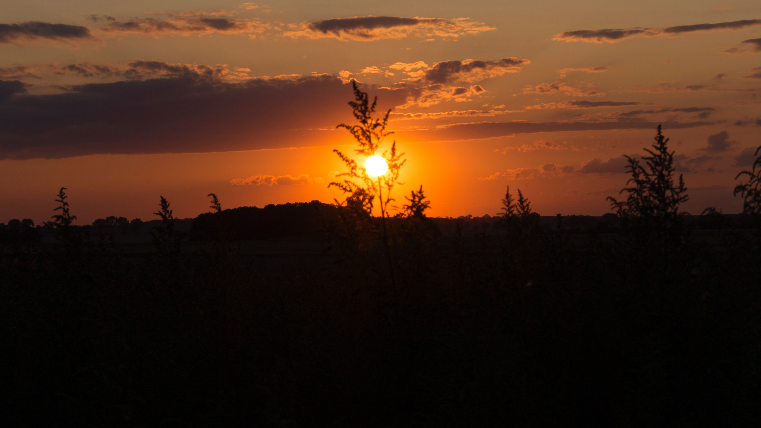 Обои закат, послесвечение, солнце, горизонт, восход солнца в разрешении 2560x1440