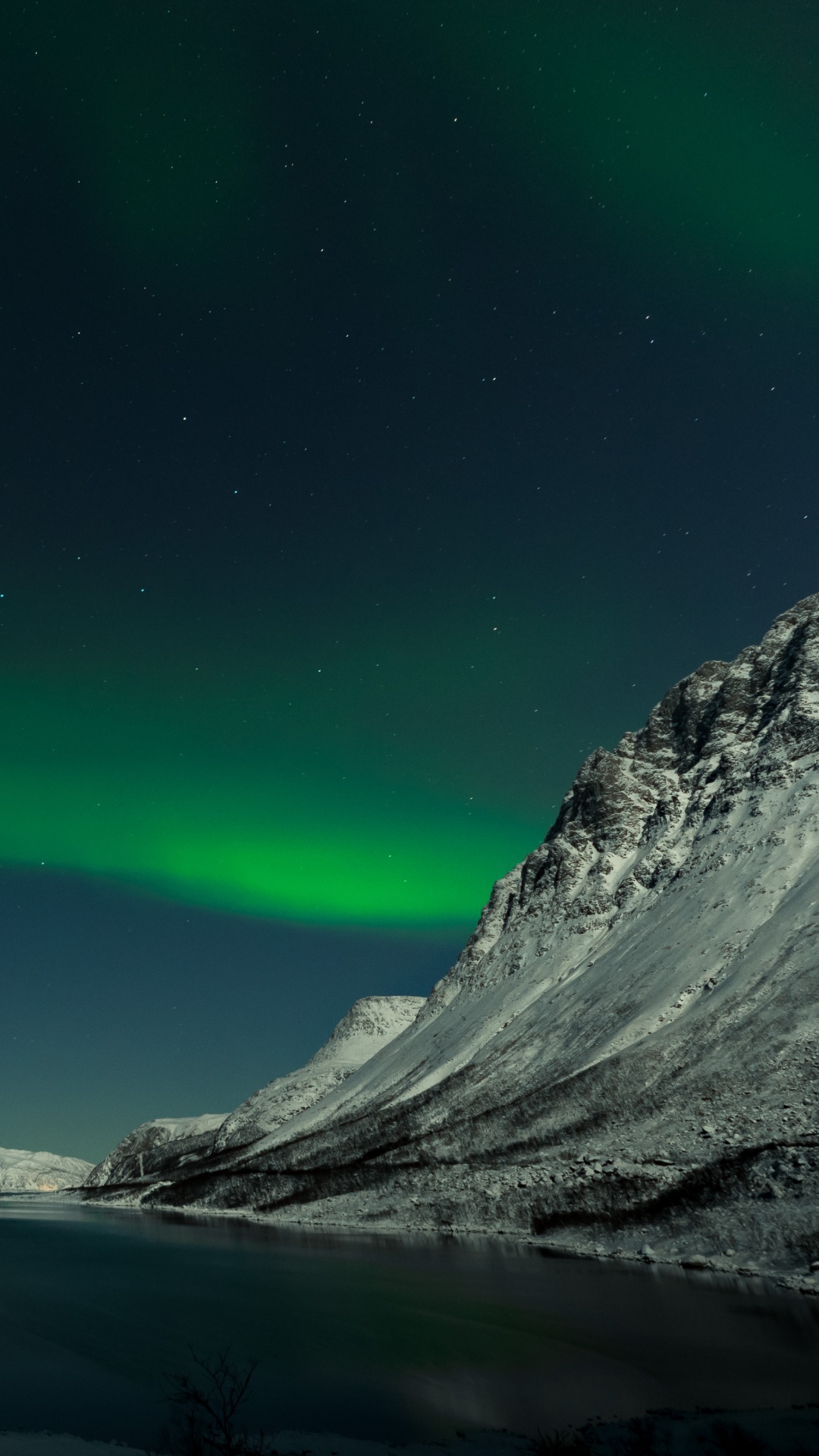 Обои Аврора, ночь, природа, зеленый, природный ландшафт в разрешении 1080x1920