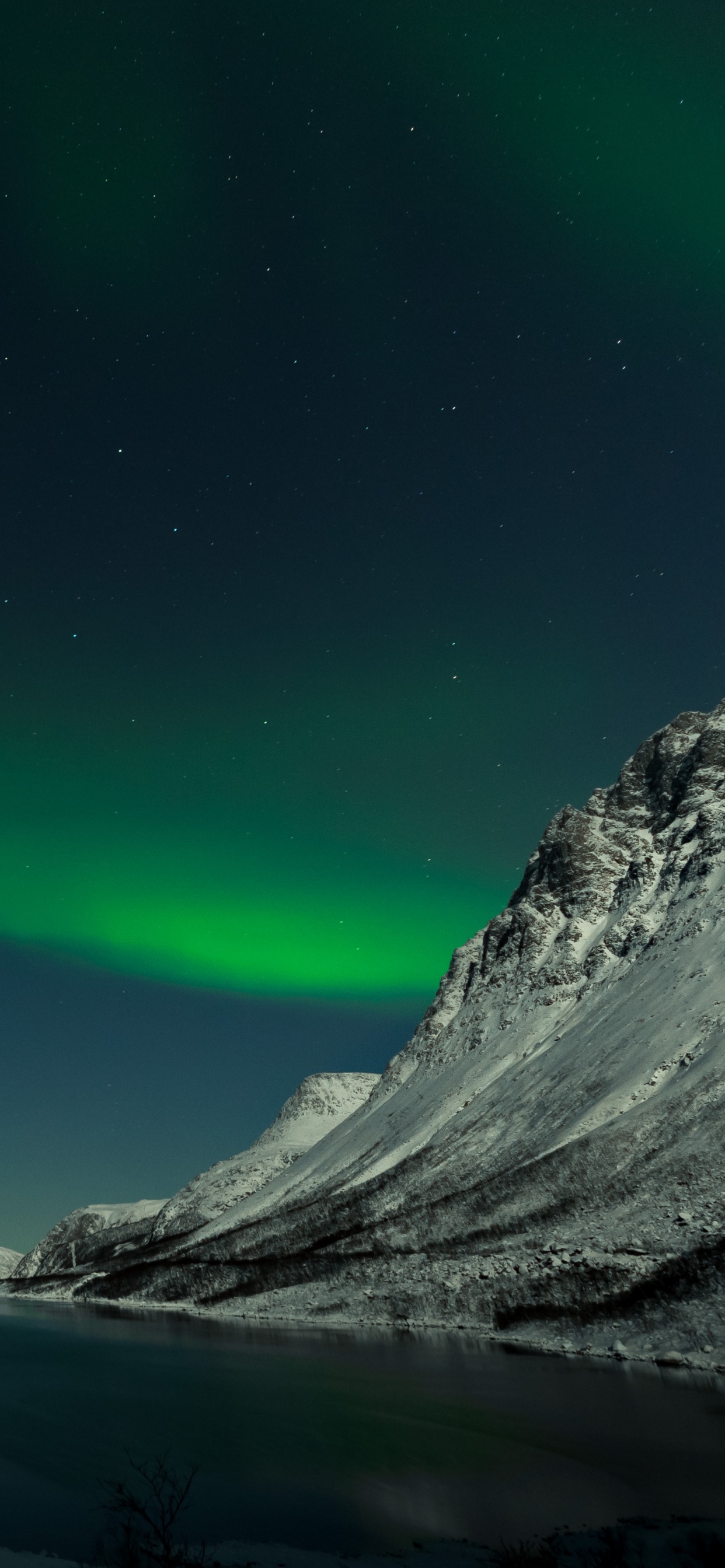 Обои Аврора, ночь, природа, зеленый, природный ландшафт в разрешении 1242x2688