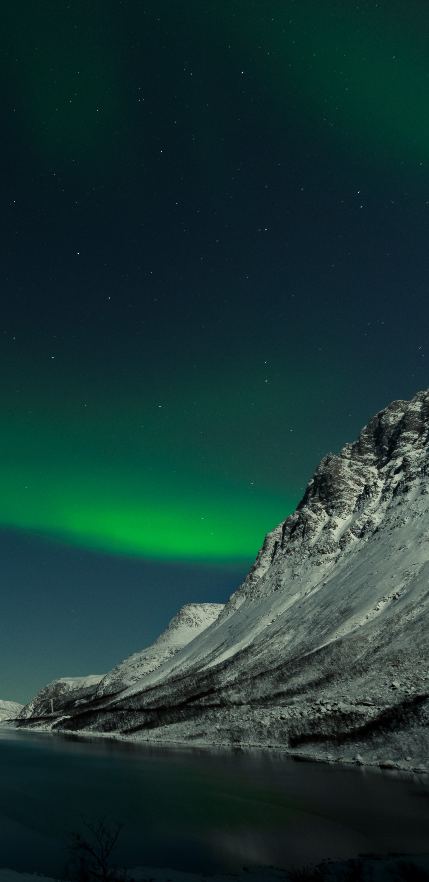 Обои Аврора, ночь, природа, зеленый, природный ландшафт в разрешении 1440x2960