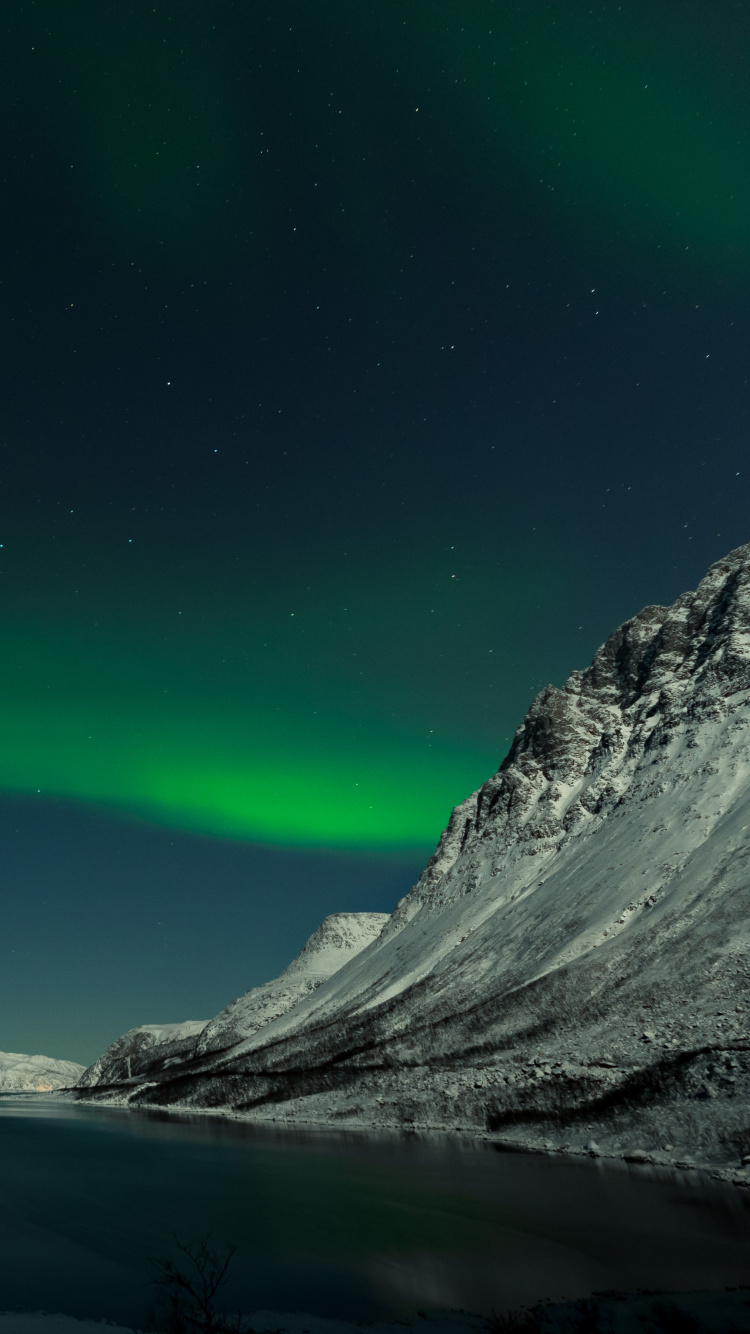 Обои Аврора, ночь, природа, зеленый, природный ландшафт в разрешении 750x1334