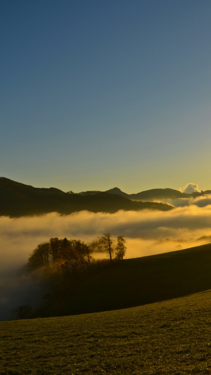 Обои восход солнца, утро, солнечный свет, свет, горизонт в разрешении 720x1280