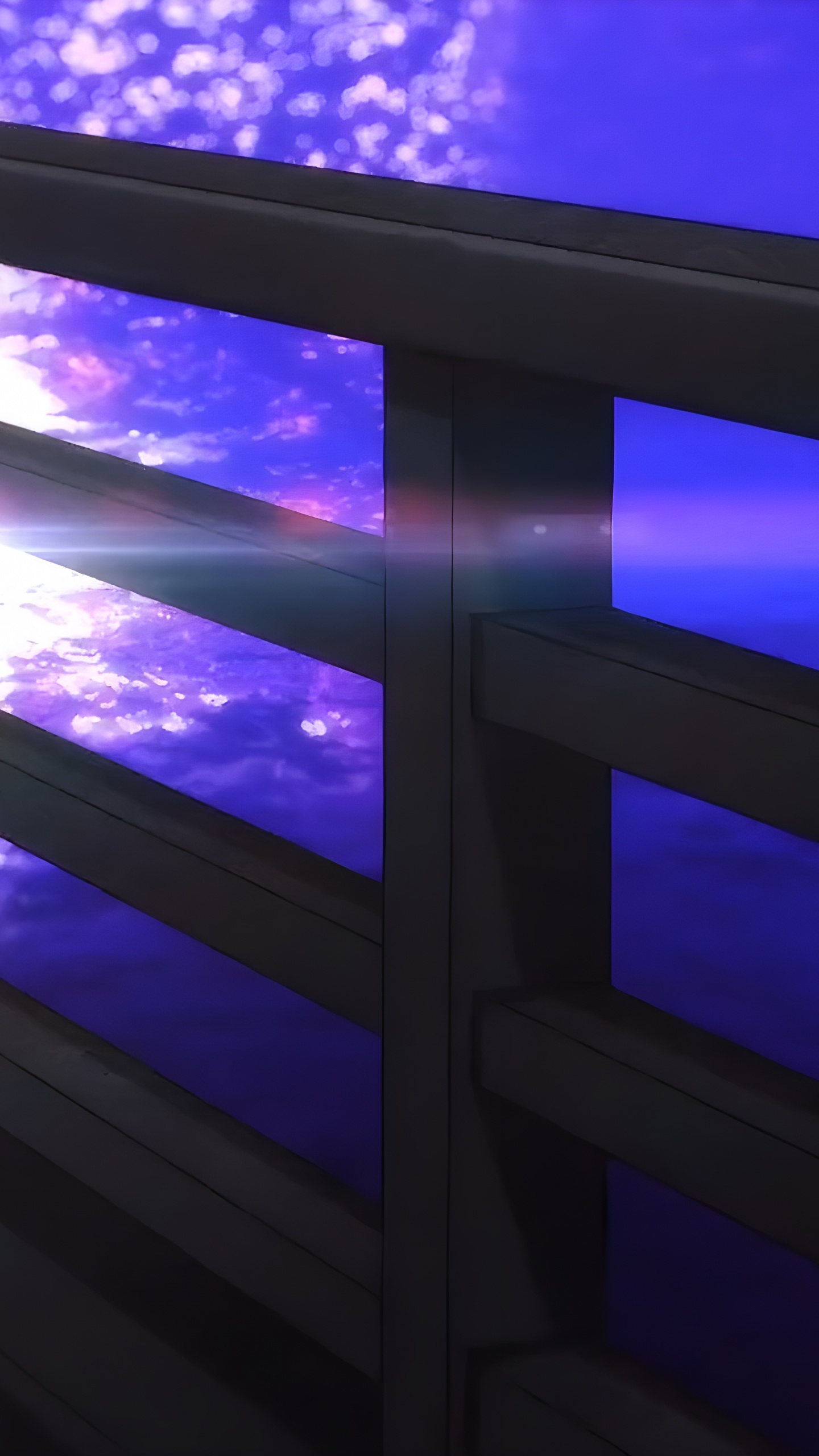 Обои свет, освещение, освещение аквариума, наука, вода в разрешении 1440x2560